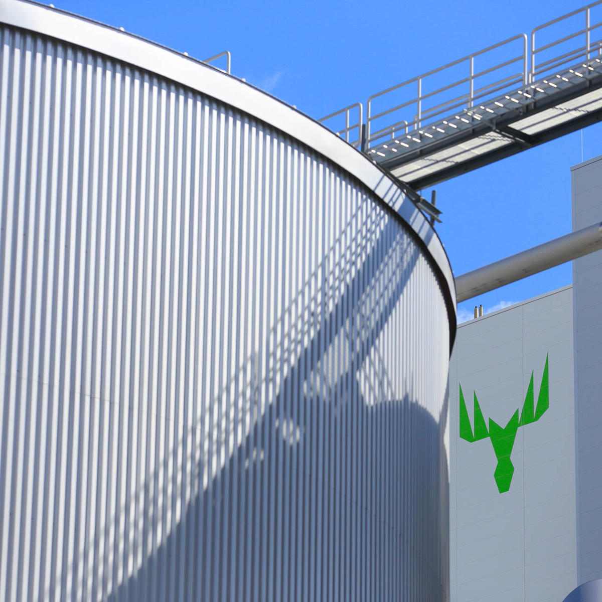 Biopellets and biogas