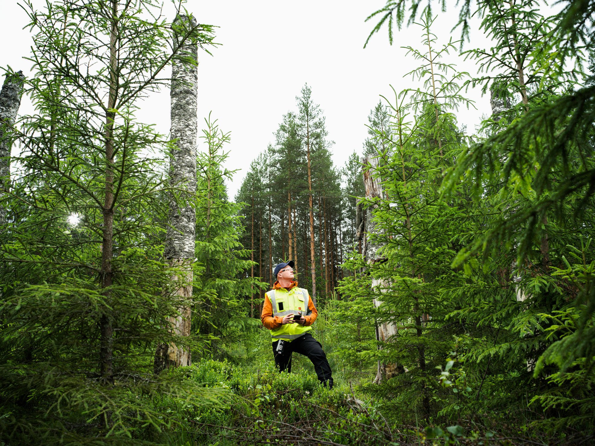 A forest specialist and two forest owners examining the Metsäverkko mobile application in the forest.
