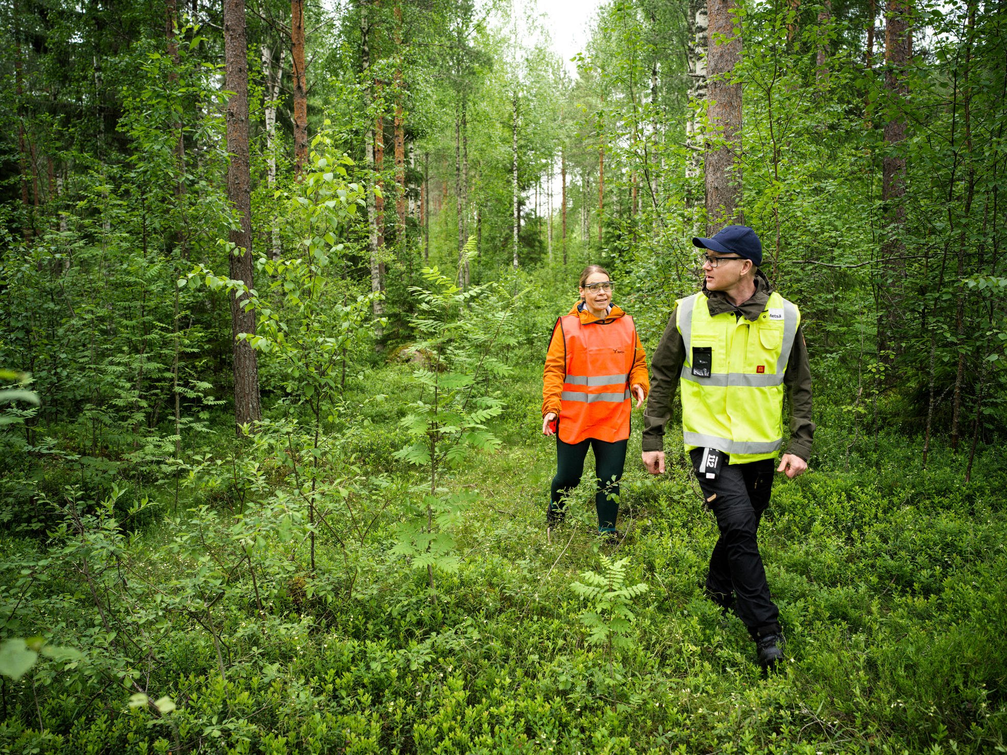 Forest specialist walking in the forest with a father and son.