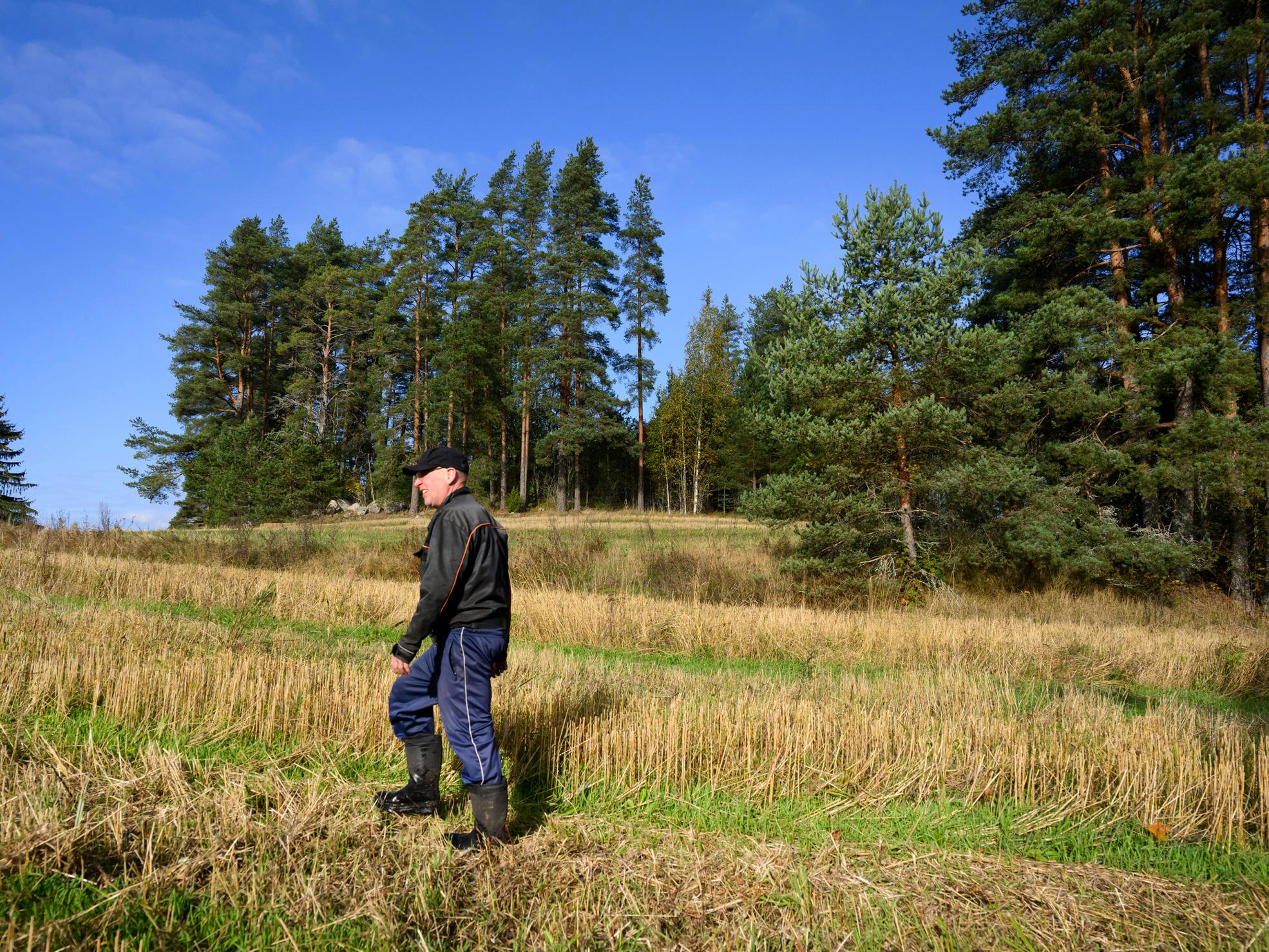 Matti Oijala walks in the field of his home farm.