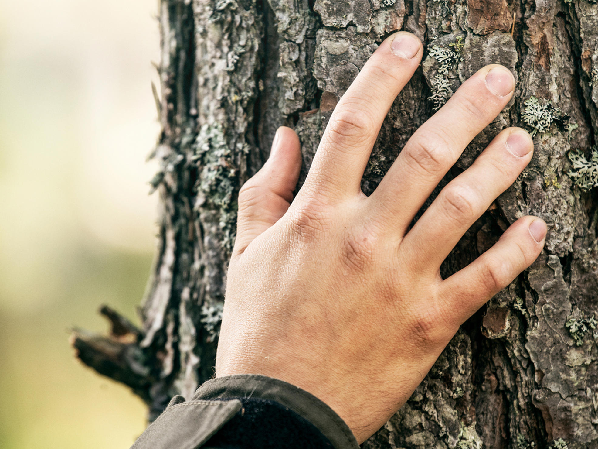 We use renewable wood from Northern forests as raw materal for our products
