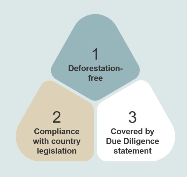 Pattern consisting of three parts: 1. Deforestation-free, 2. Compliance with country legislation and 3. Covered by Due Diligence statement.