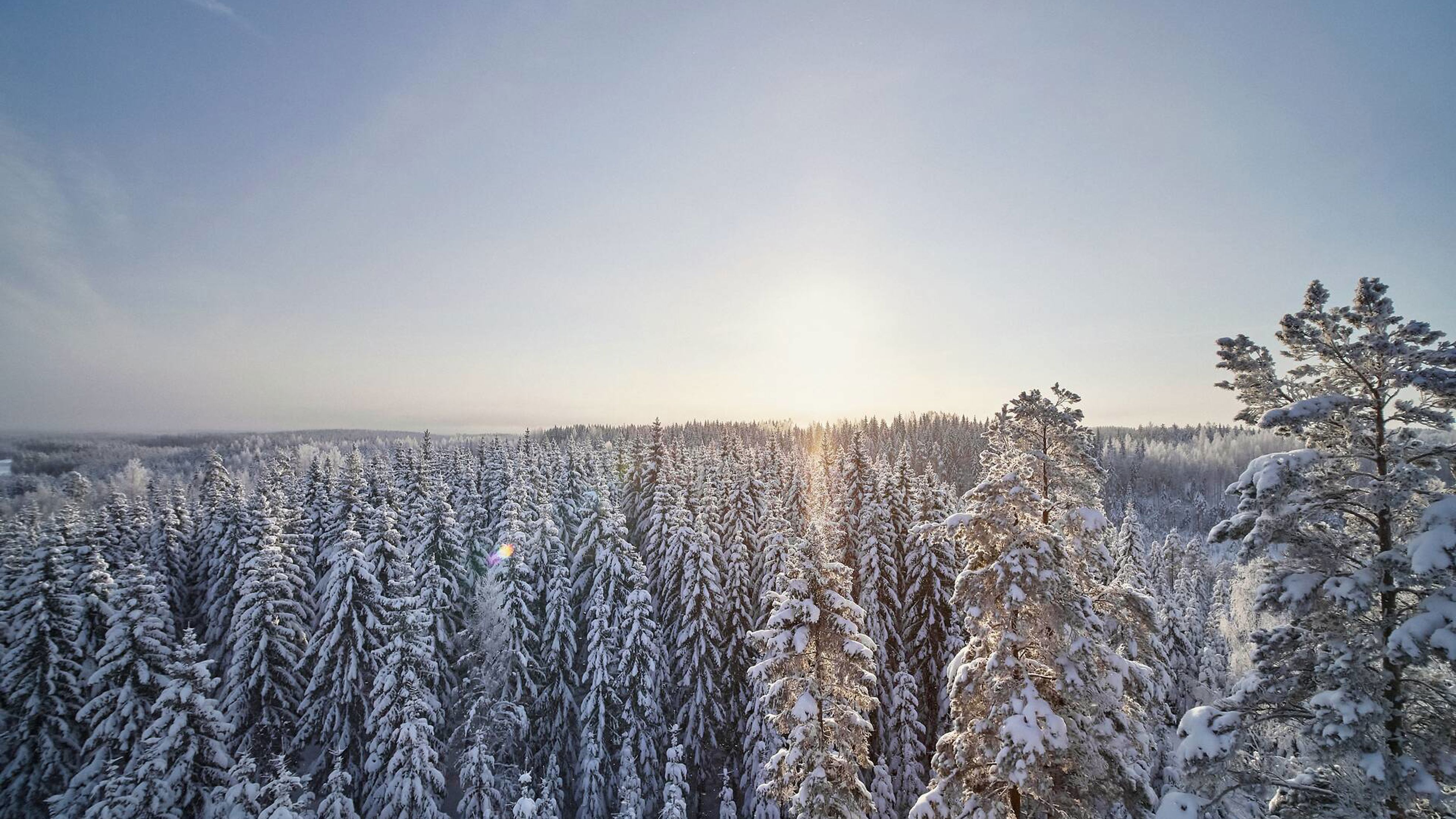 Matsä ja taivas