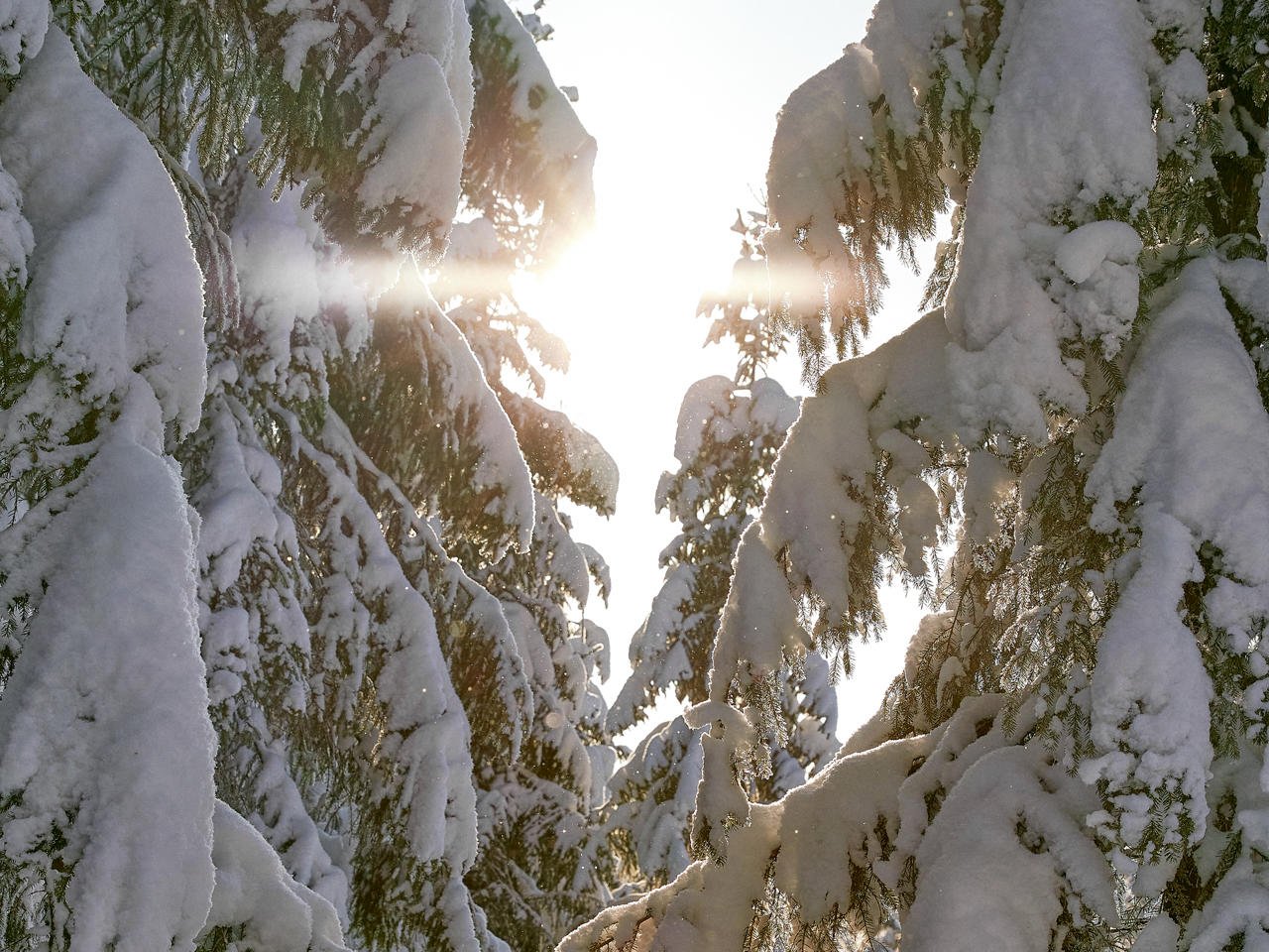 Target: EUR 300 million in annual cost savings