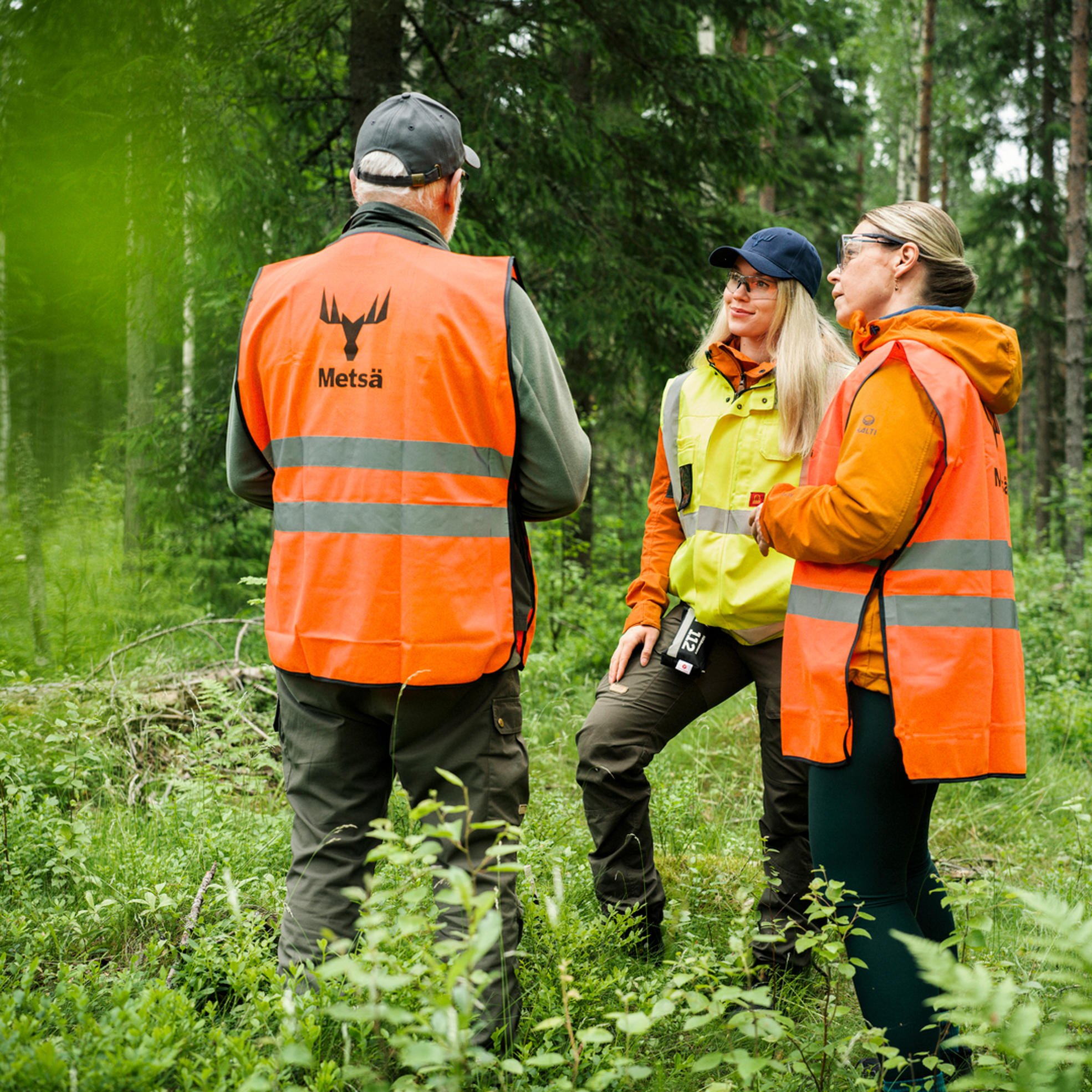 Forest specialist planning operations with forest owners