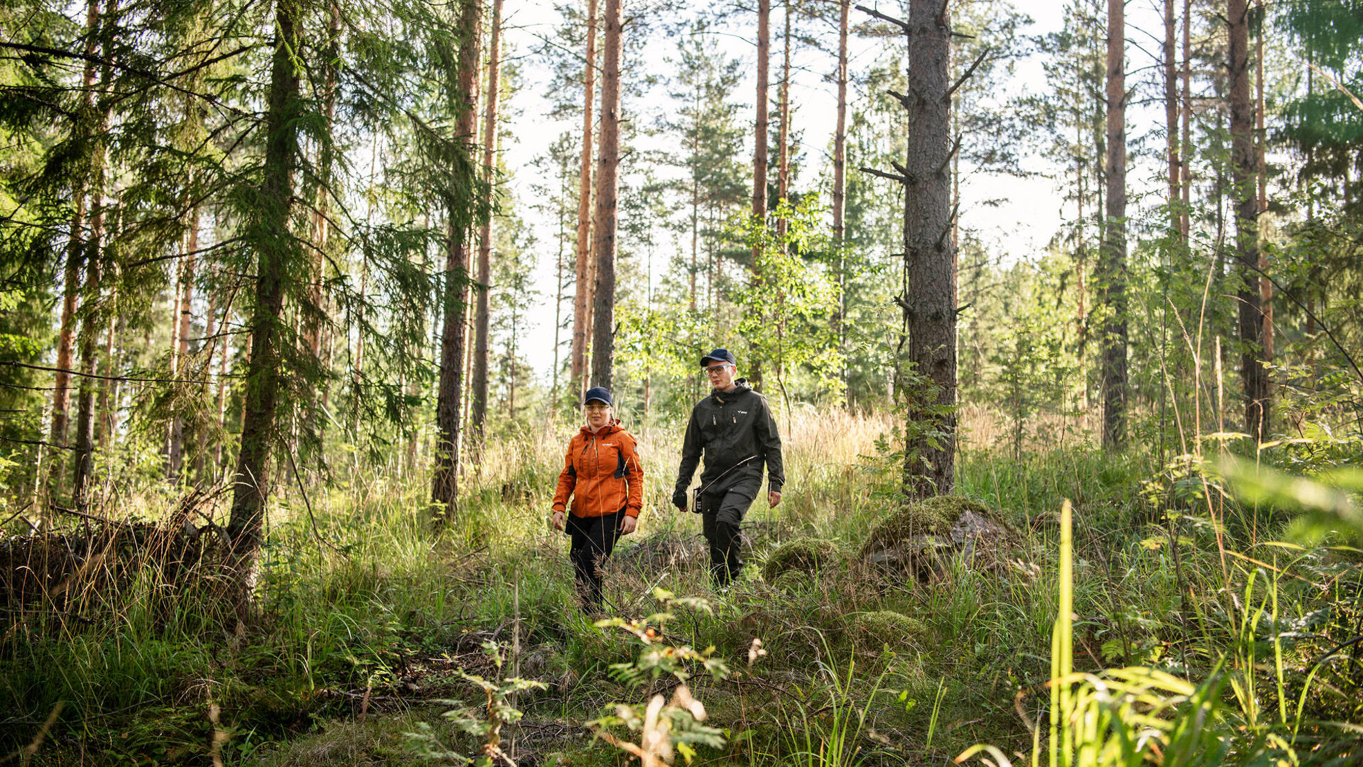 Metsäluonnon tilaa pyritään turvaamaan ja parantamaan