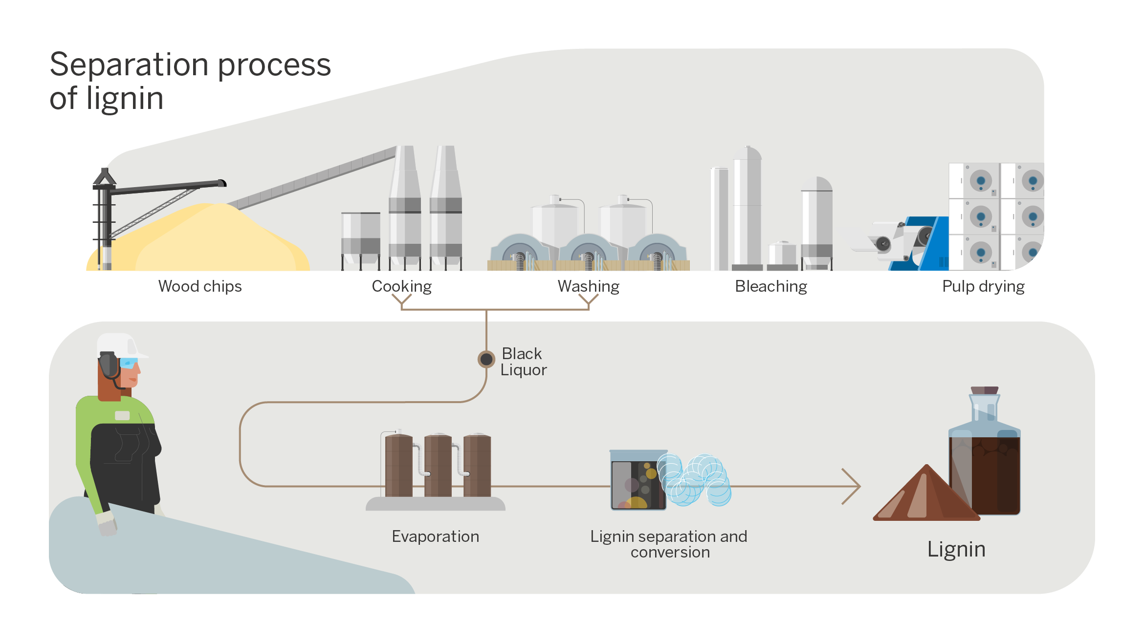 separation process of lignin