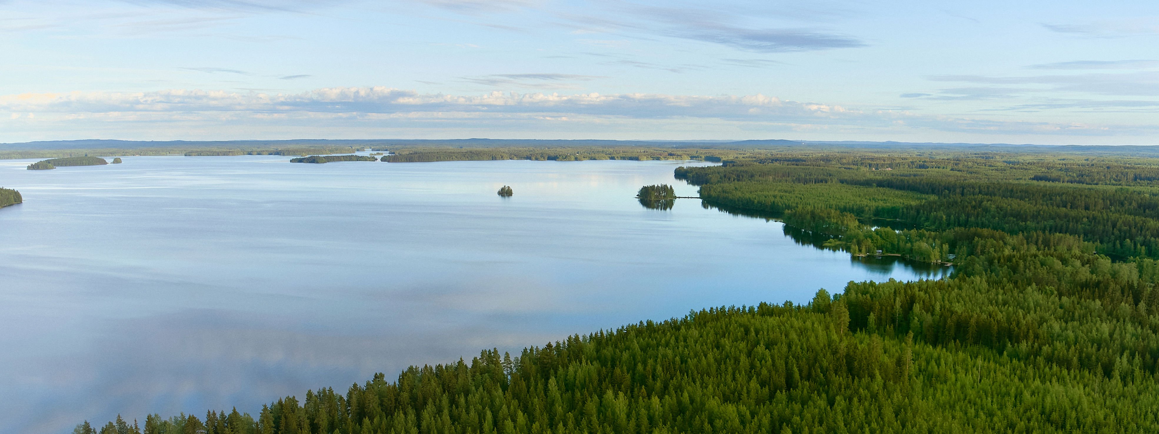 Metsä Group funded harvesting of common reed