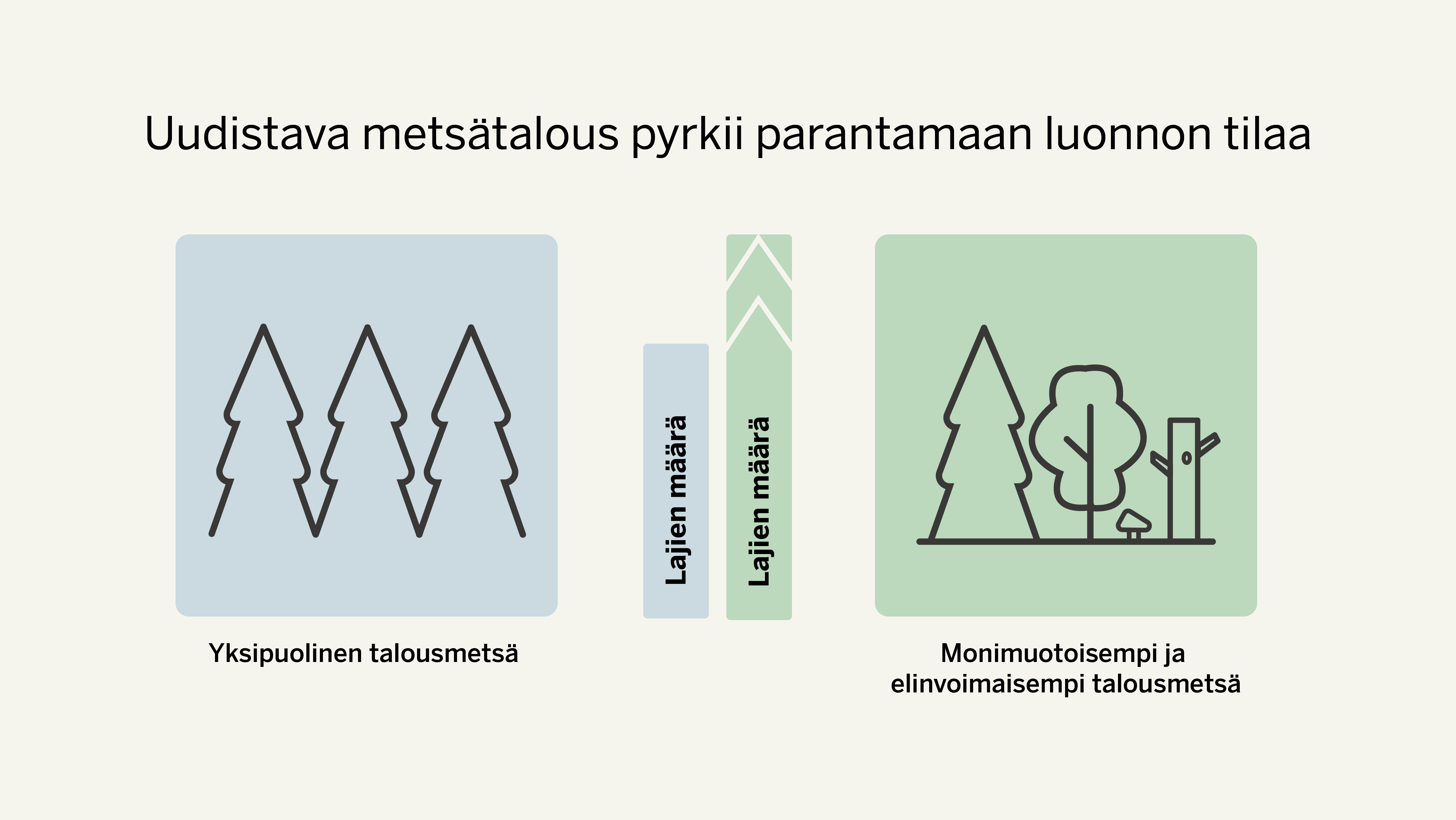 Uudistava metsätalous pyrkii entistä elinvoimaisempiin, monimuotoisempiin ja ilmastokestävämpiin metsiin