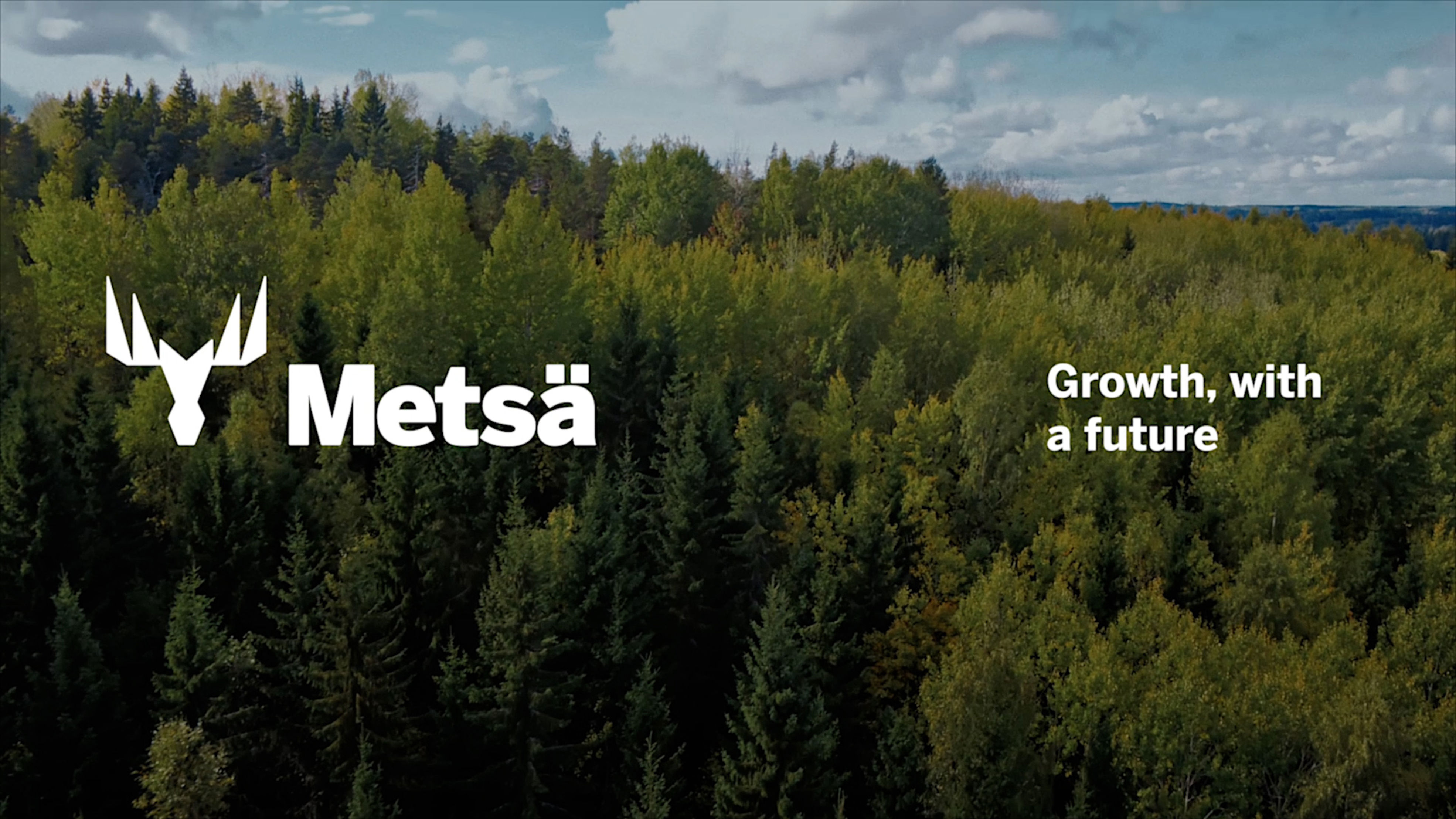 Story of Metsä