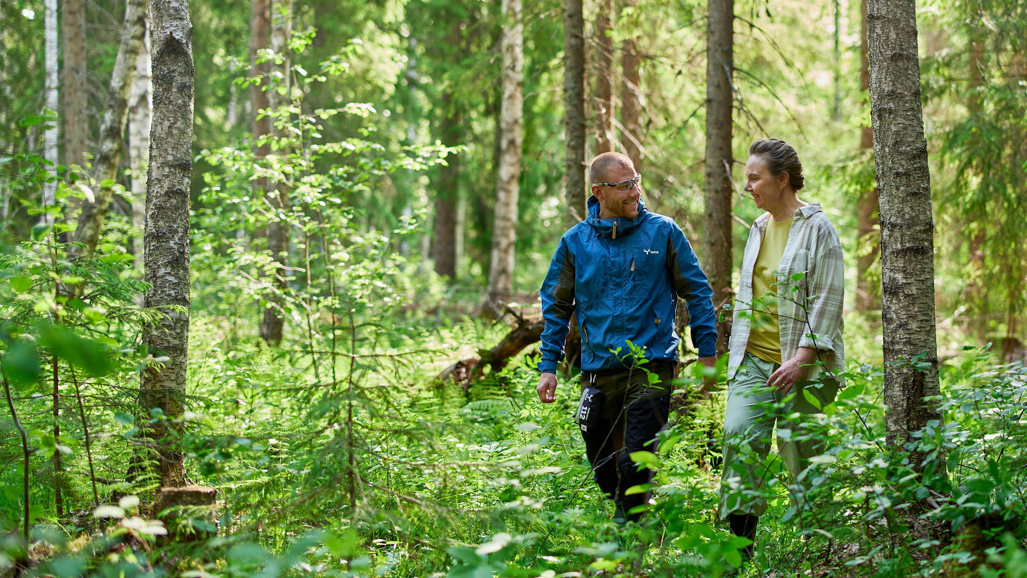 Two people walking in the forest, there are different species of trees growing in the area