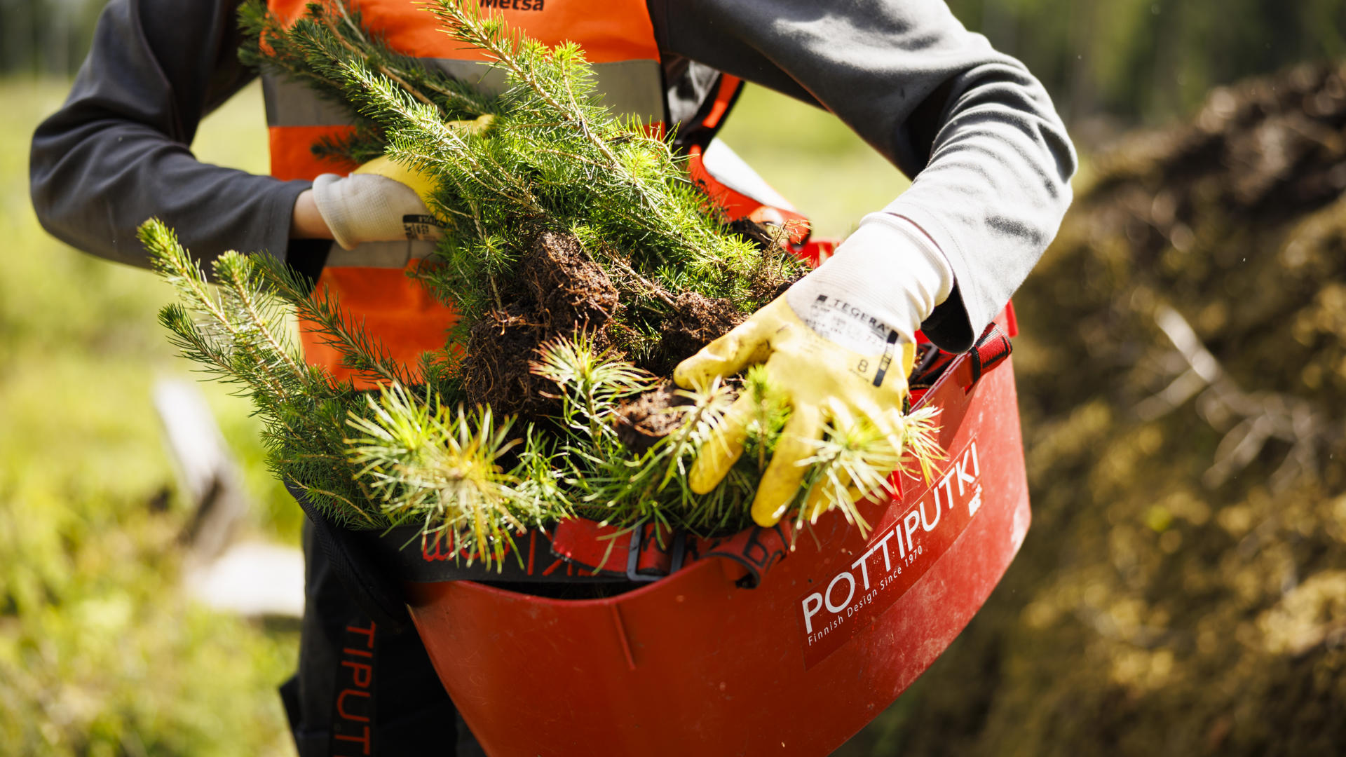 Metsä Group palkkaa alle 18-vuotiaita kesätöihin