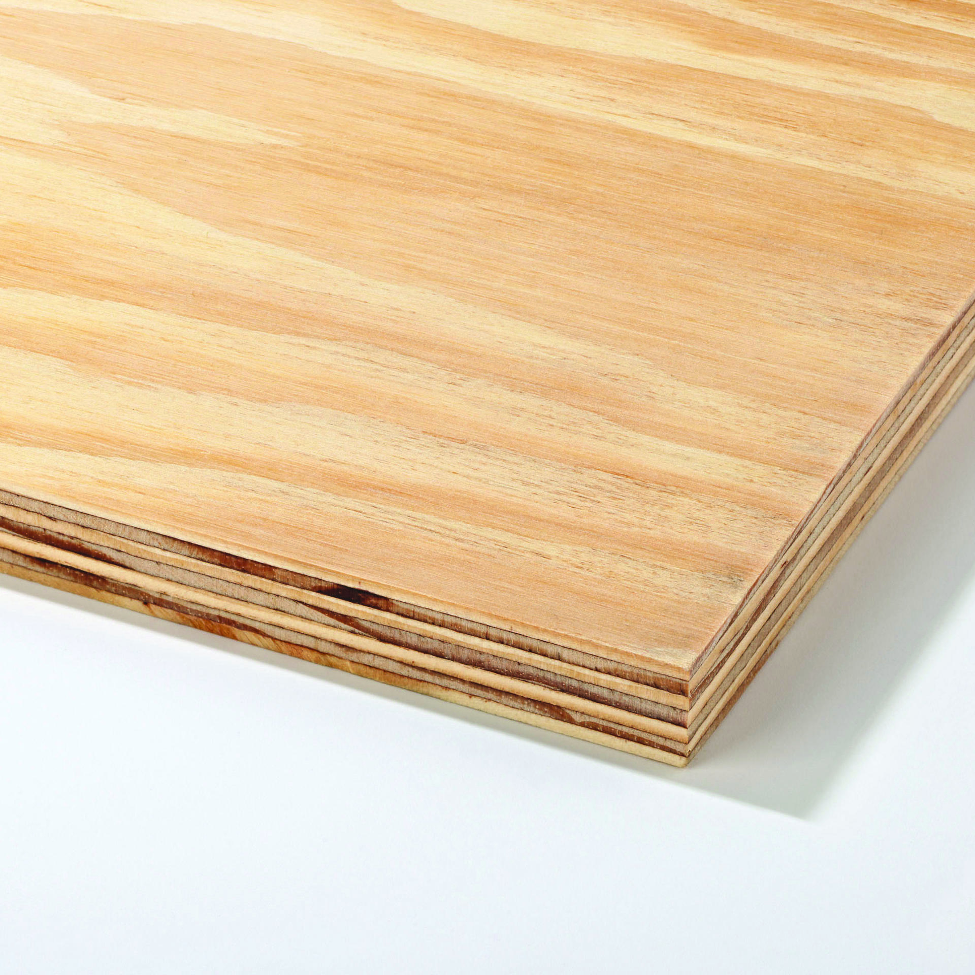 Softwood Plywood-1