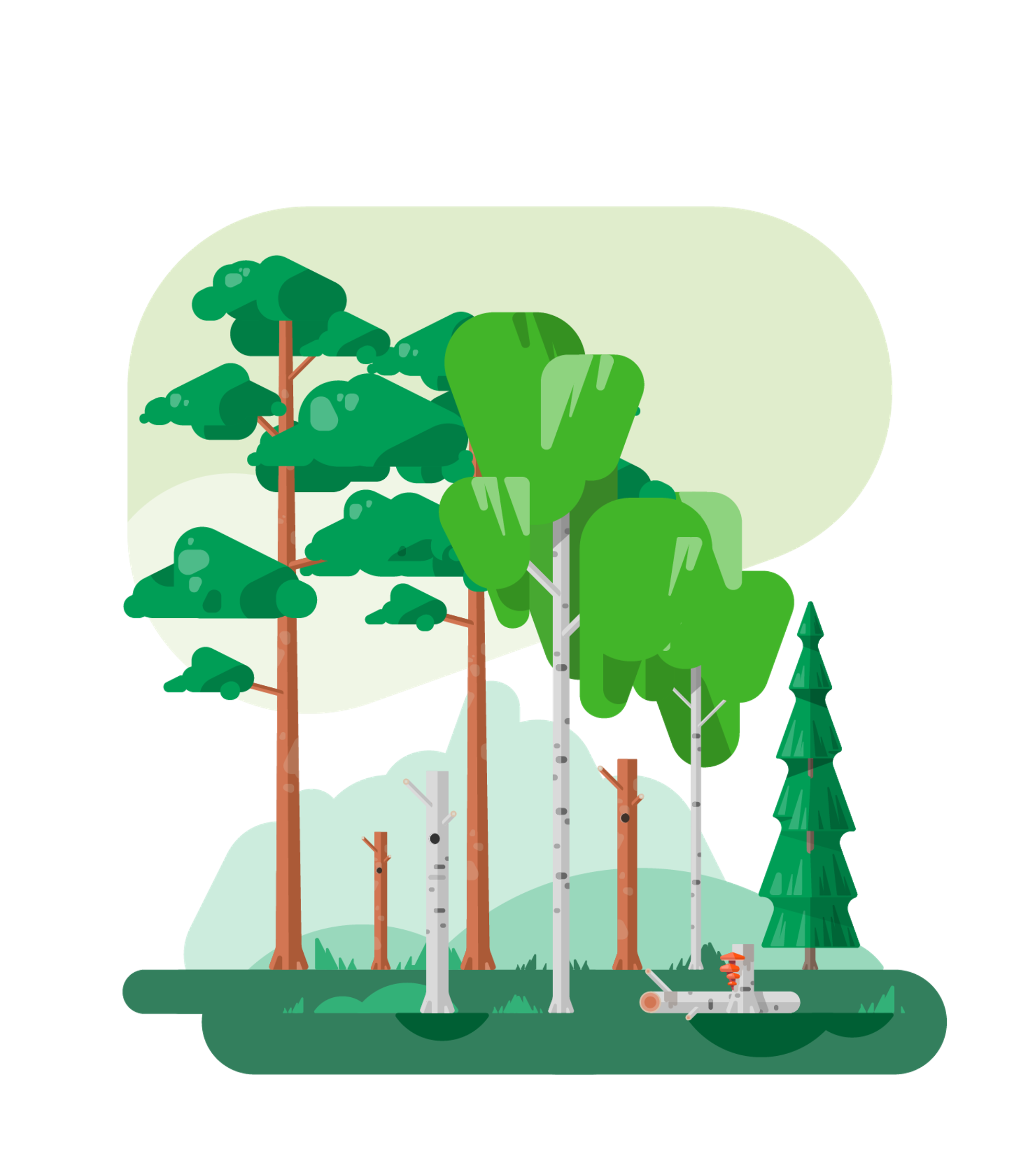 Diverse forest illustration