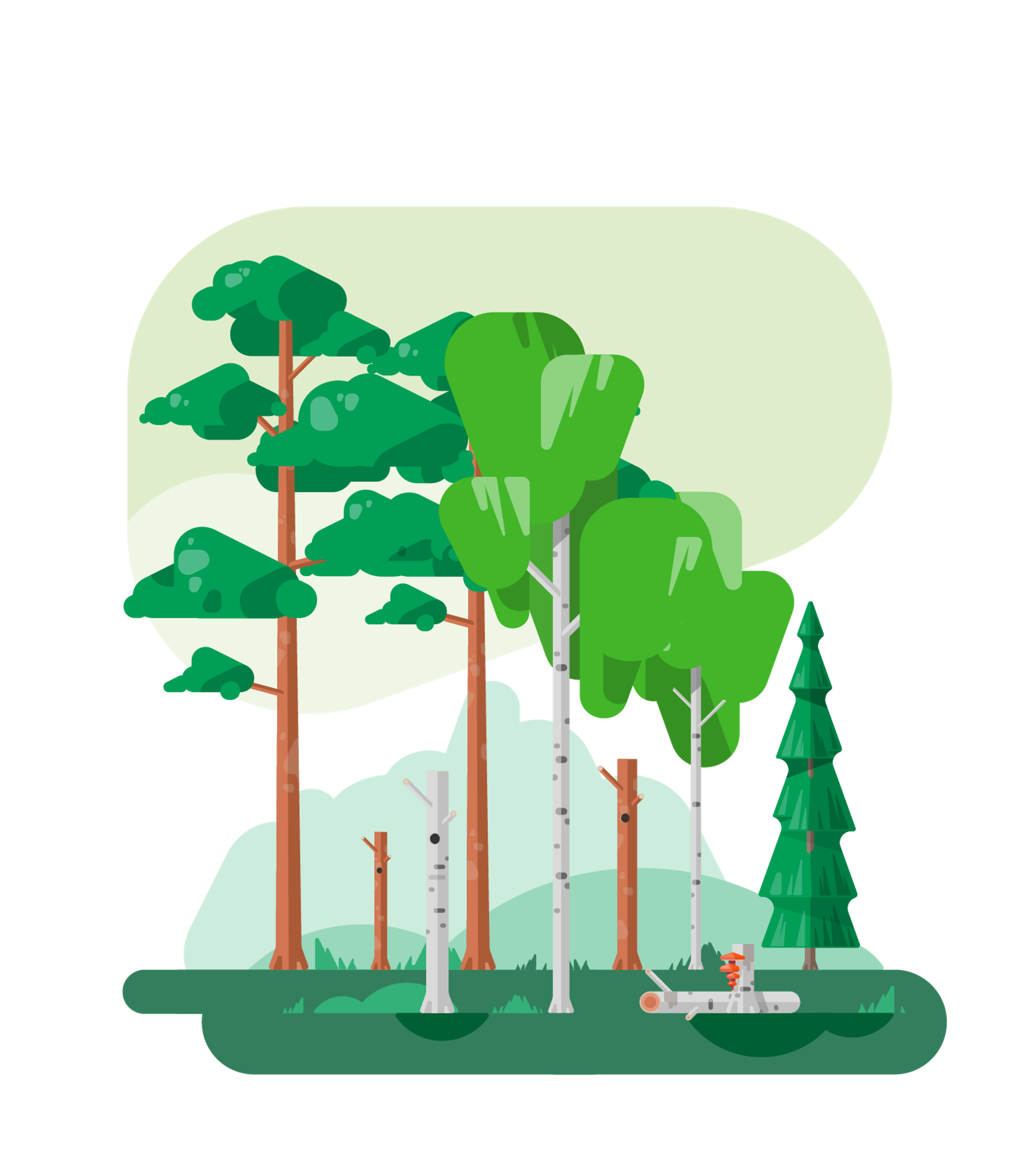 Diverse forest illustration