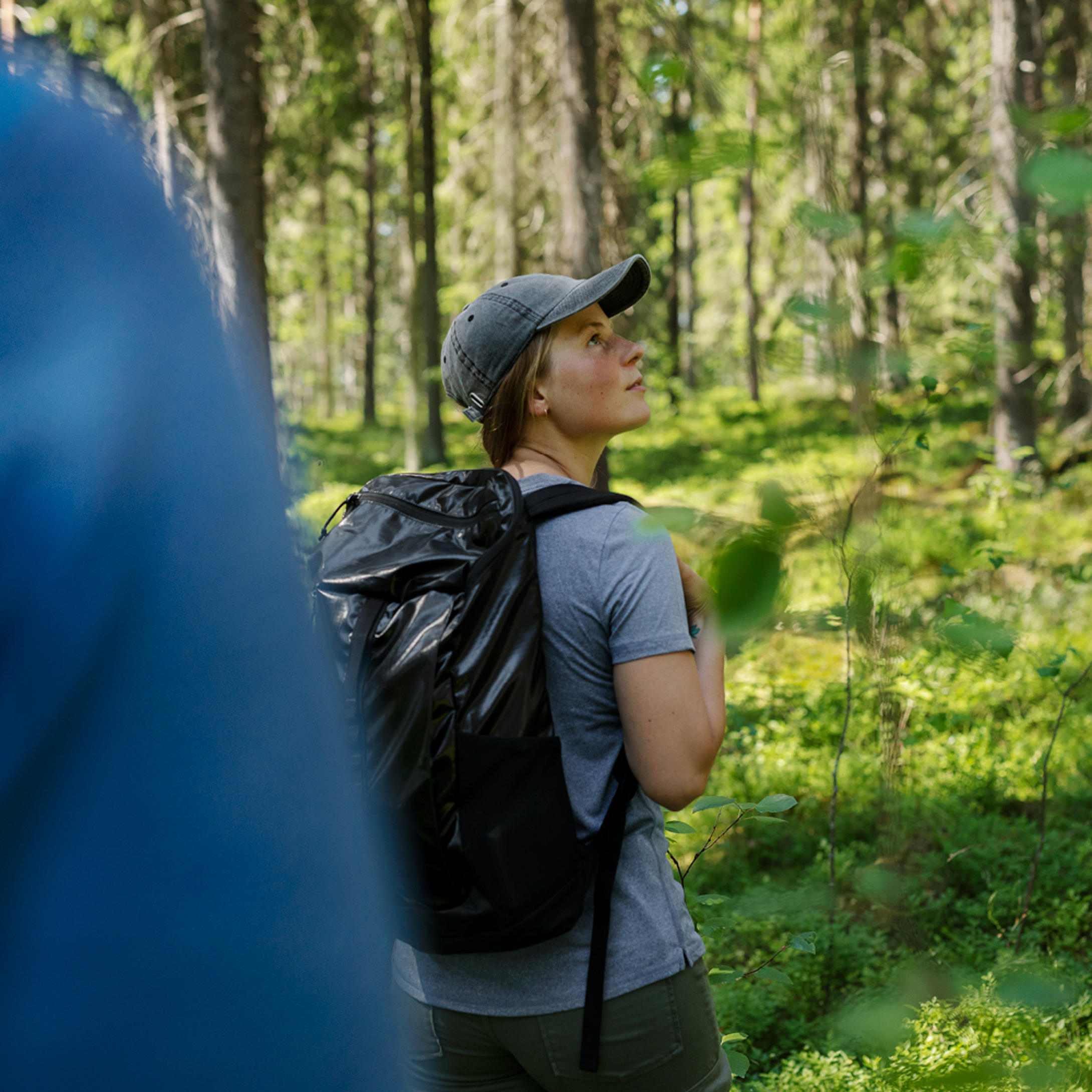 Luonnon monimuotoisuuden turvaaminen ja metsien käytön ekologinen kestävyys