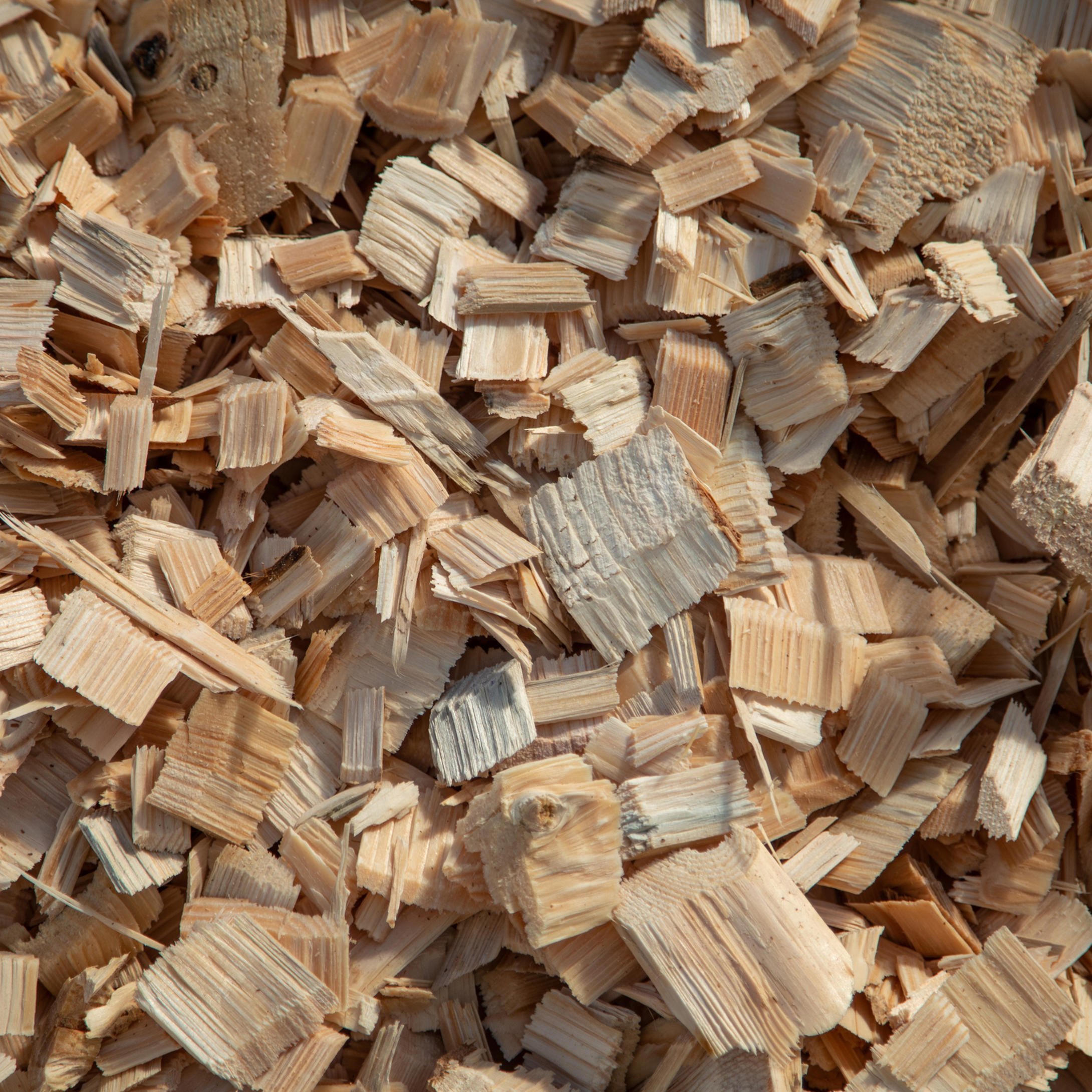 Woodchips 