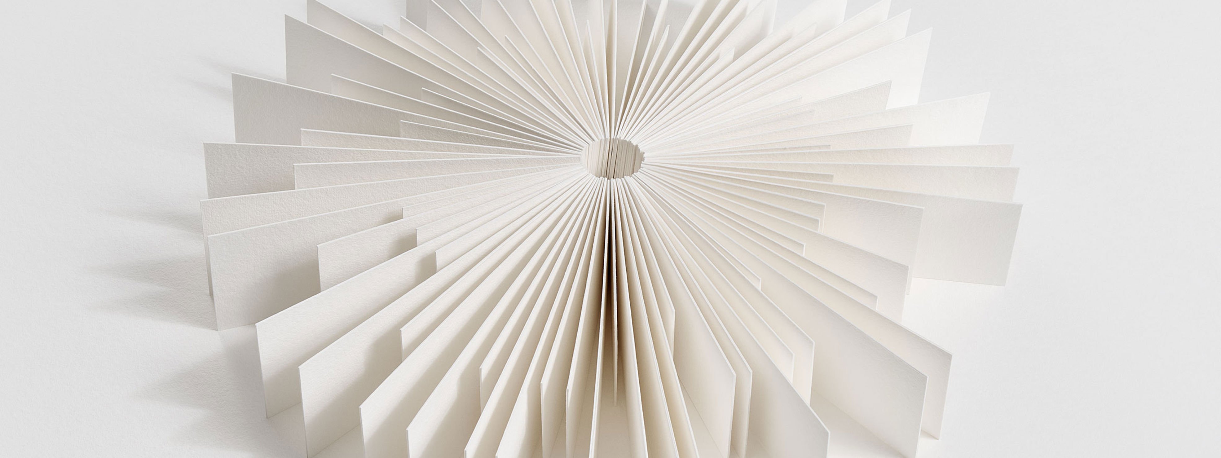 Ornamental circle made of pulp pieces