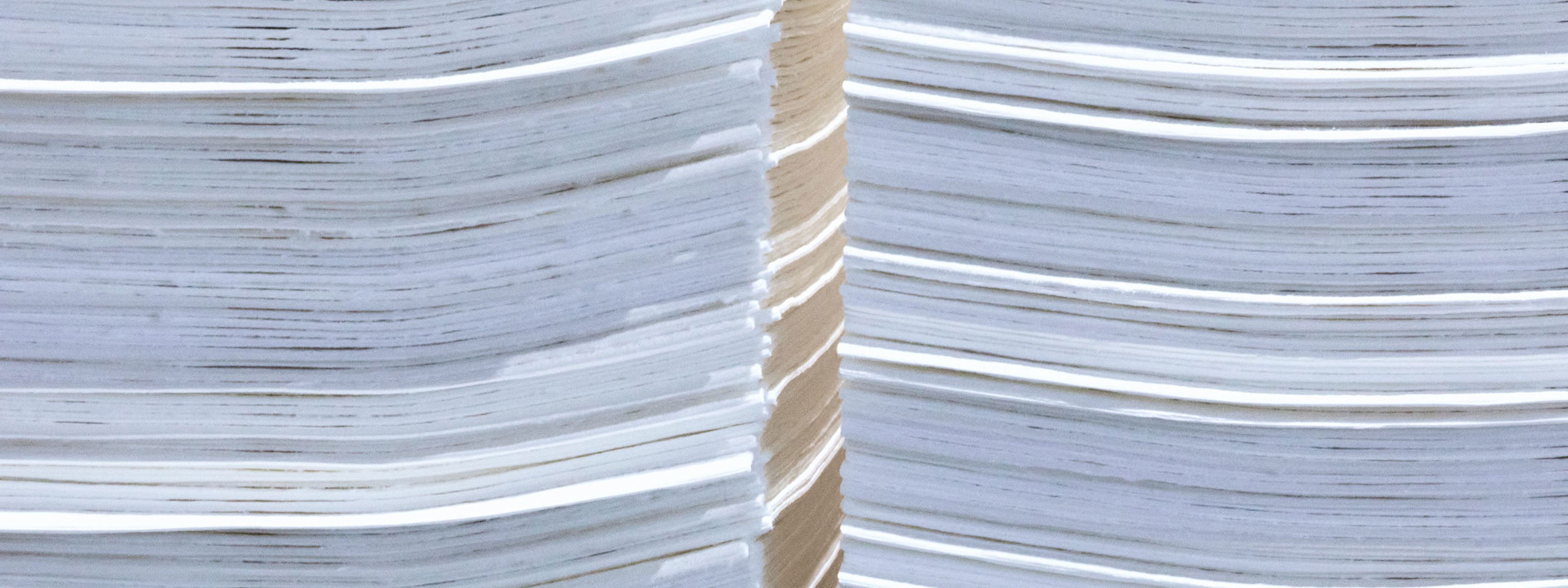 Pulp sheet edge in detail