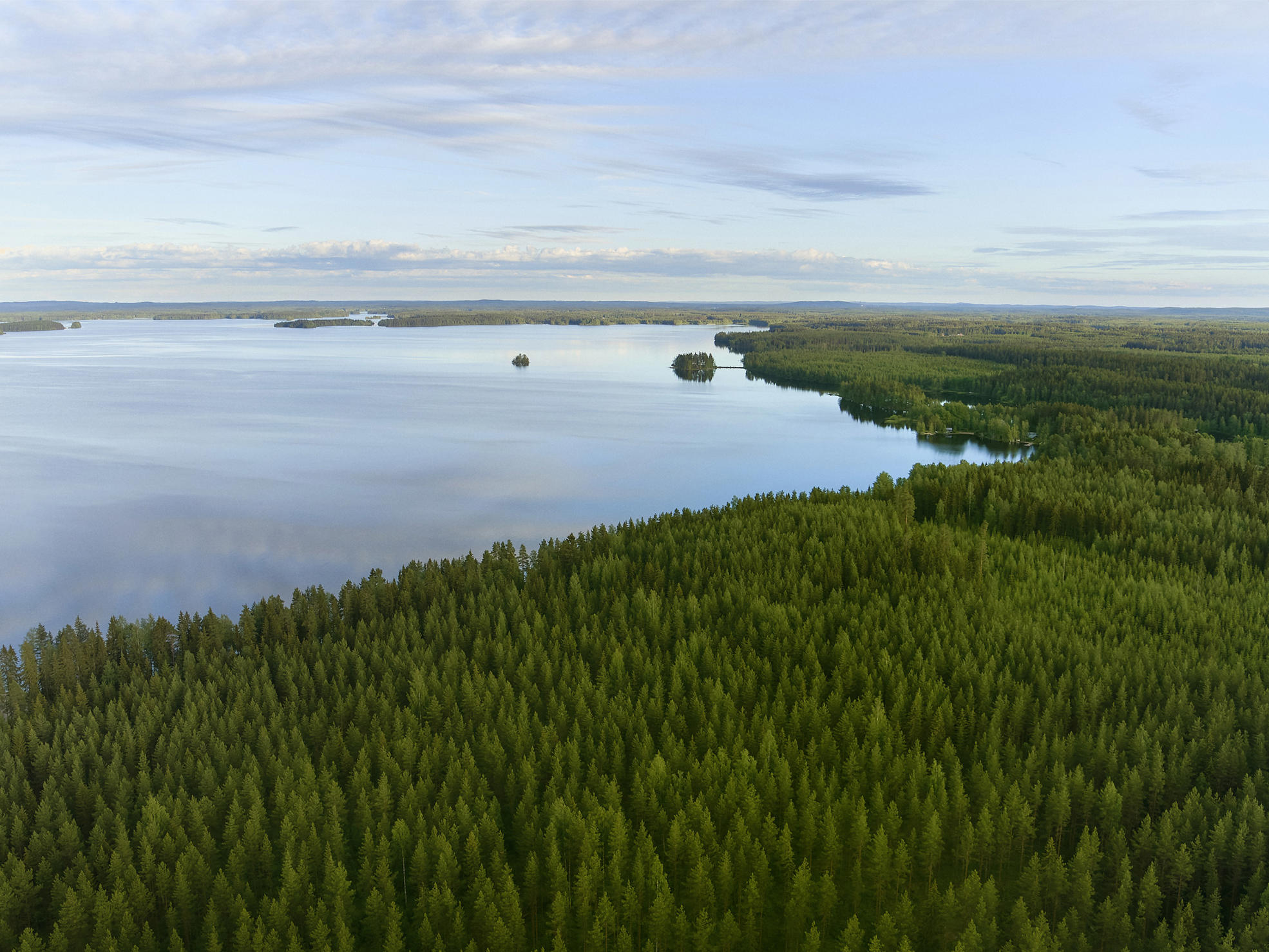 Maisemakuva, jossa metsää ja järvi