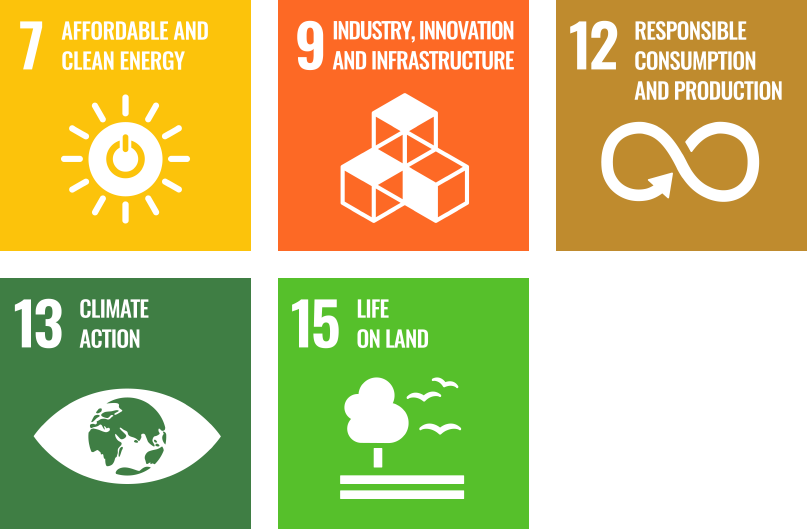 SDG 7: Affordable and clean energy, SDG 9: Industry, innovation and infrastructure, SDG 12: Responsible consumption and production, SDG 13: Climate action and SDG 15: Life on land