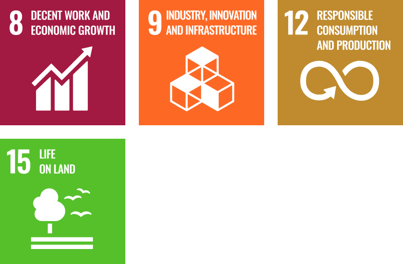 SDG 8: Decent work and economic growth, SDG 9: Industry, innovation and infrastructure, SDG 12: Responsible consumption and production and SDG 15: Life on land
