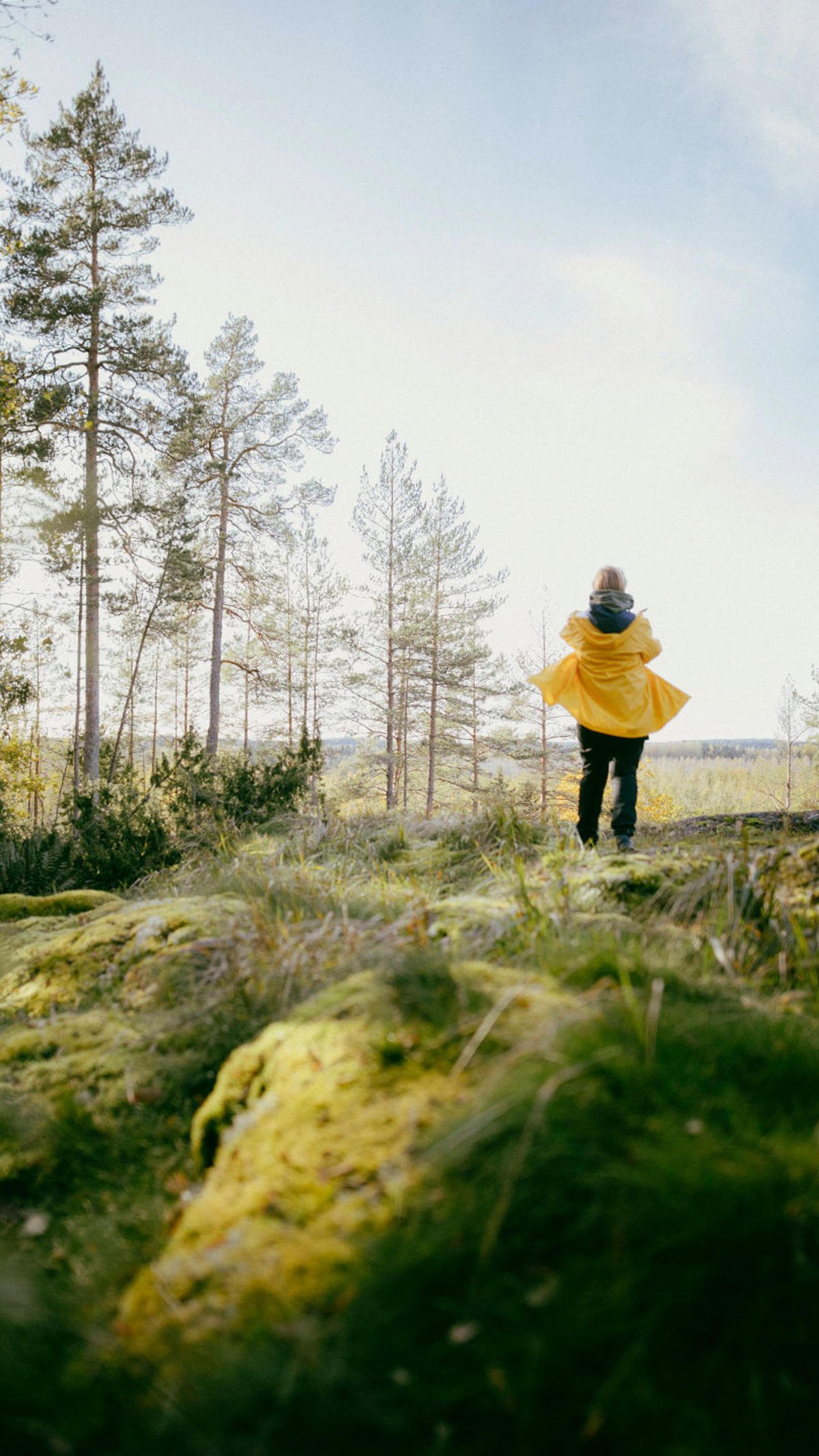 Sadetakkinen nainen seisoo selin kameraan, hän ottaa valokuvaa suomalaisesta metsämaisemasta