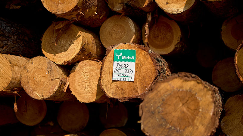 Closeup image of a pile of logs. We see the ends of the logs and there is a paper tag on the end of one of them. The tag has a Metsa logo on it and hand-written felling date.