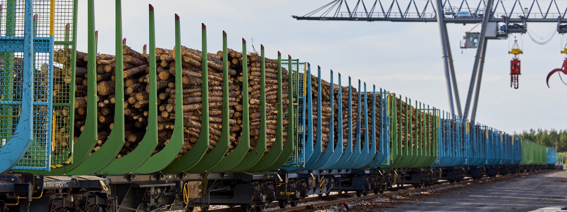 Log train arriving to log yard
