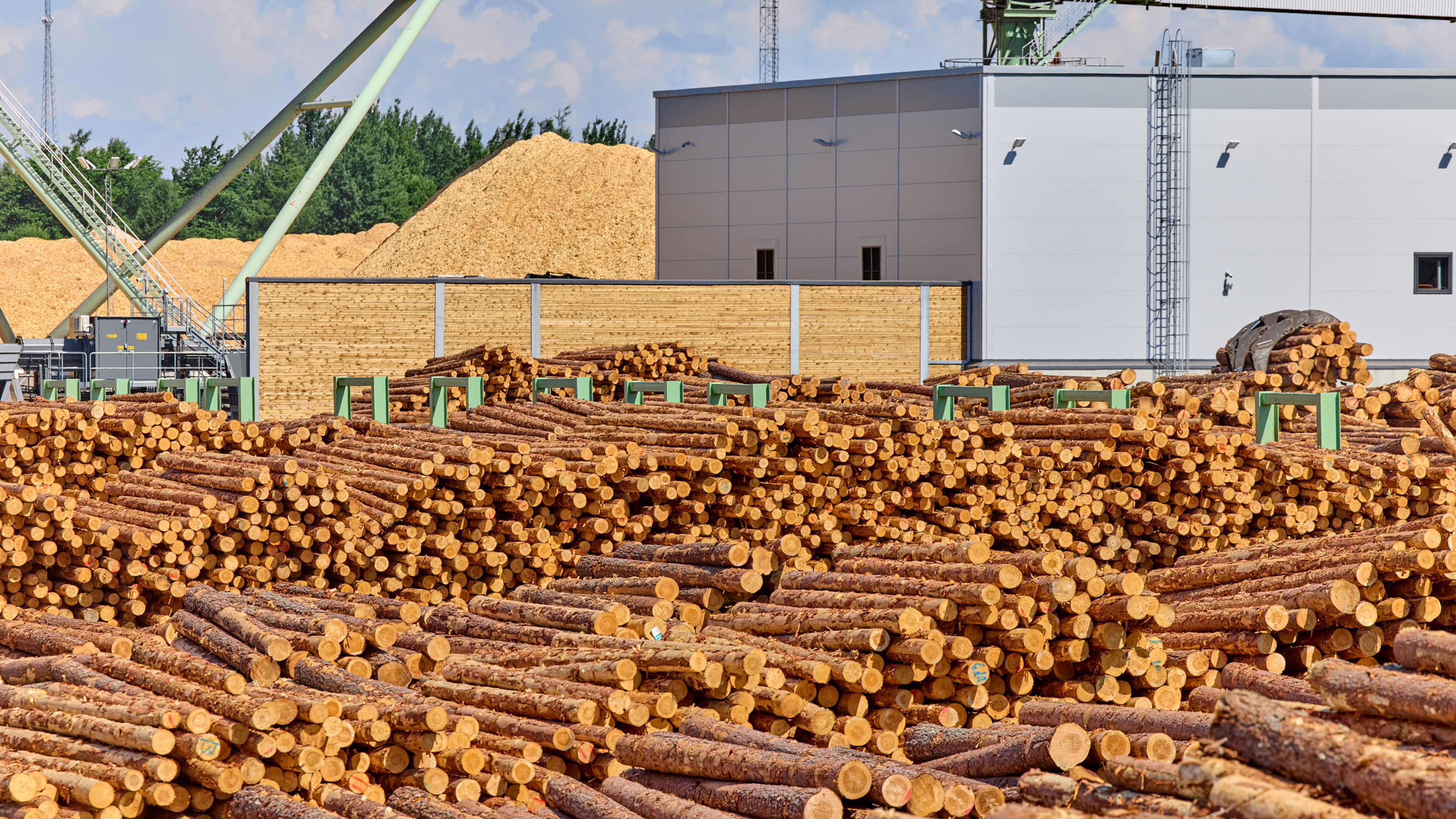 Log sorting at Rauma sawmill