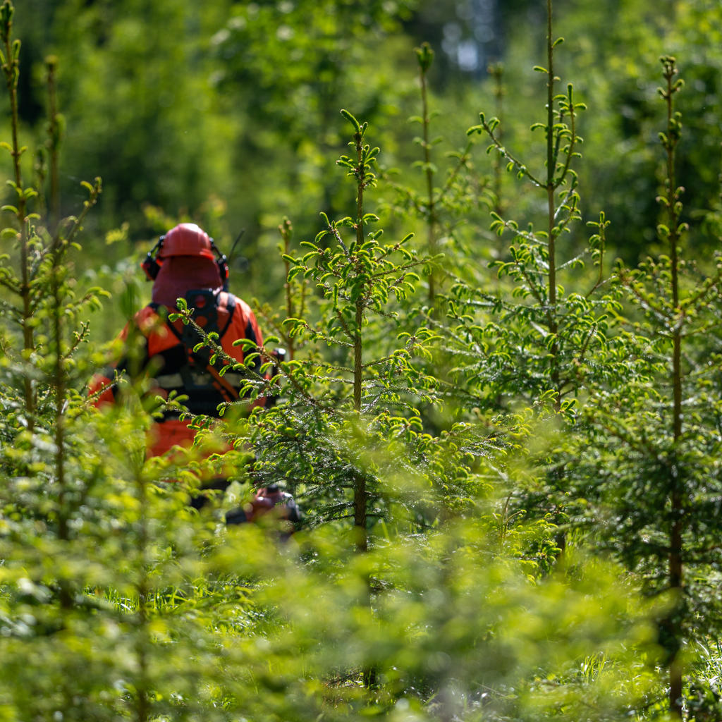 Value-based, reliable partnerships