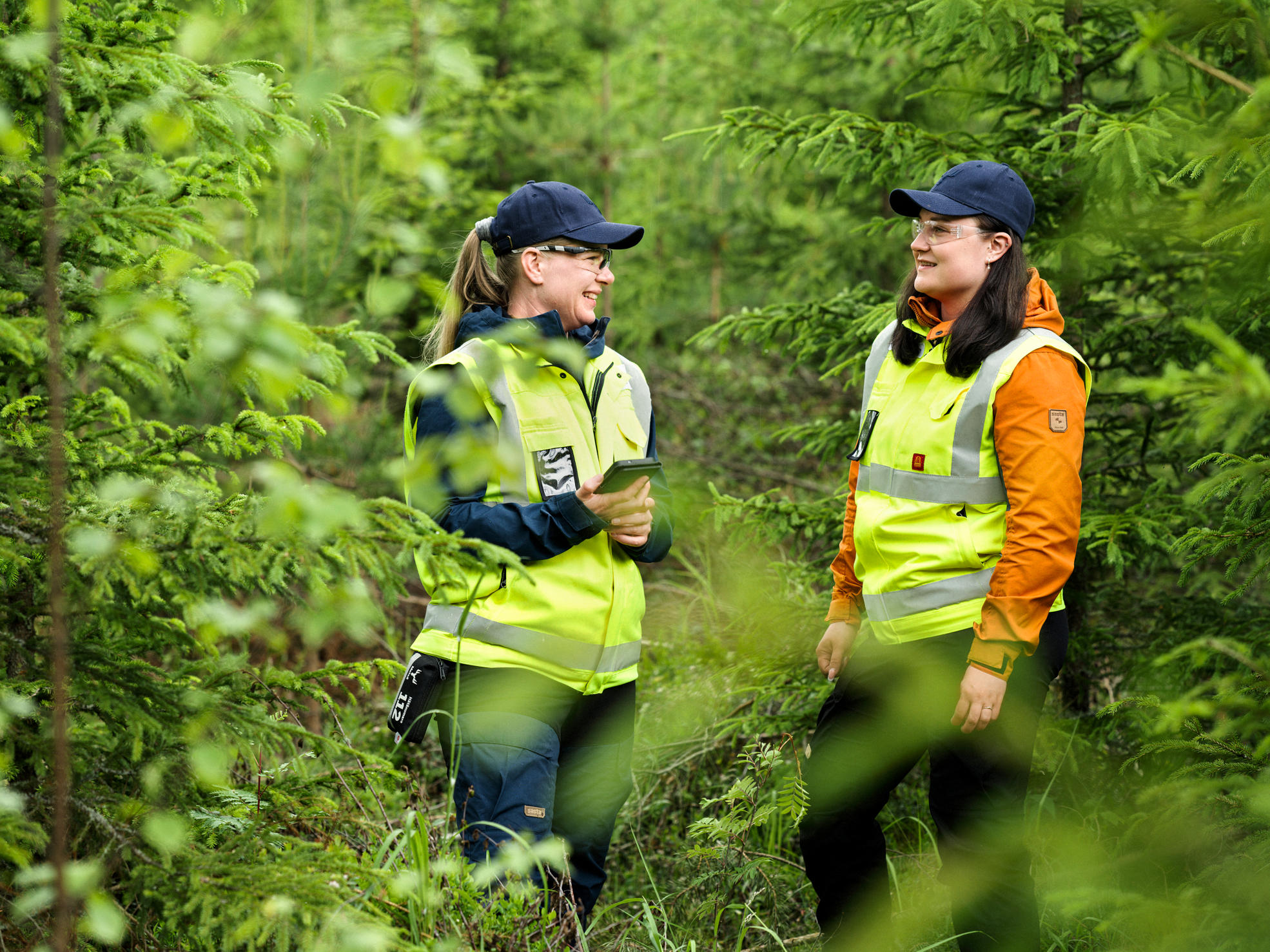 A forest specialist in forest