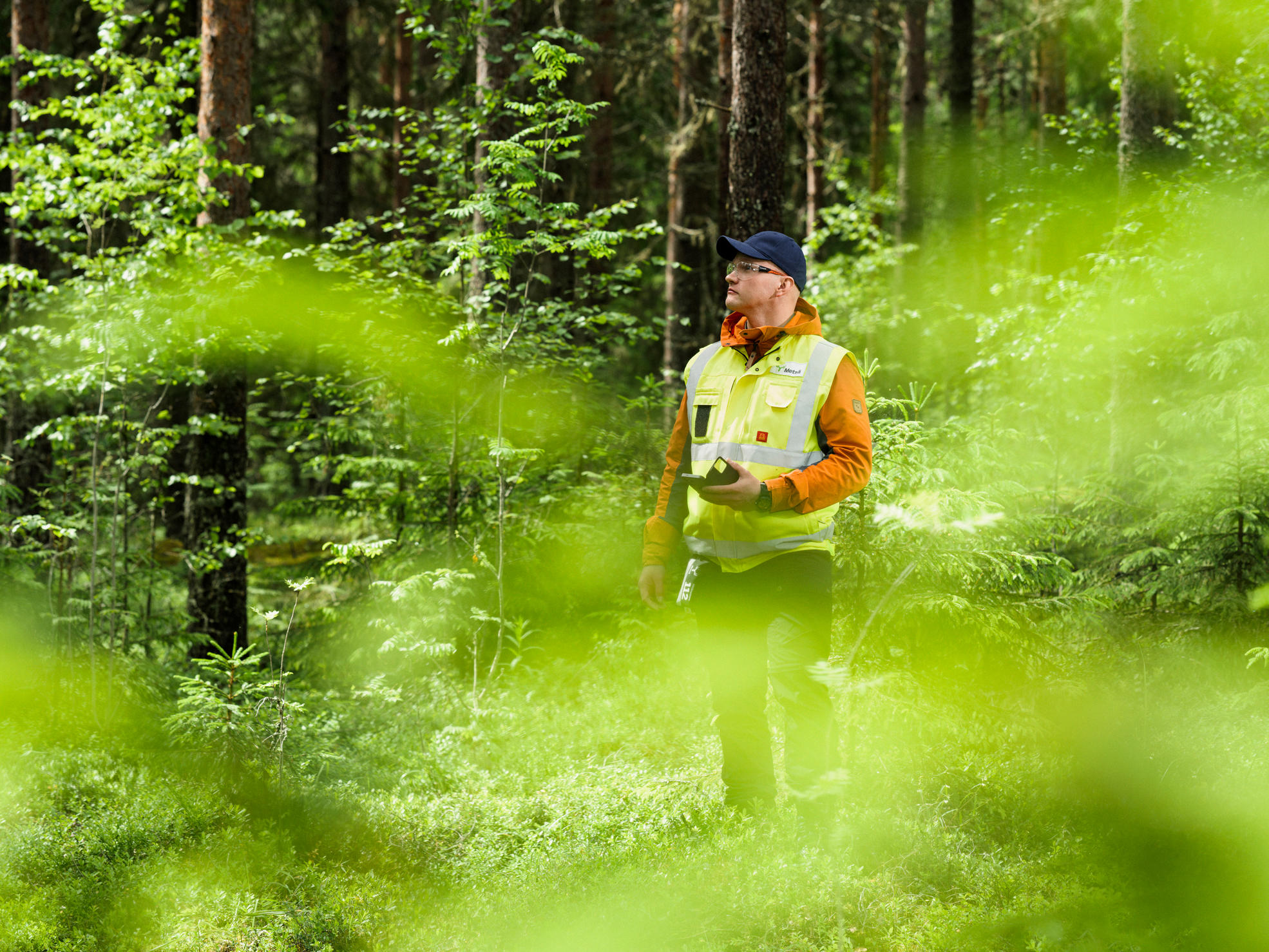 A forest specialist and forest owner walking in the forest.