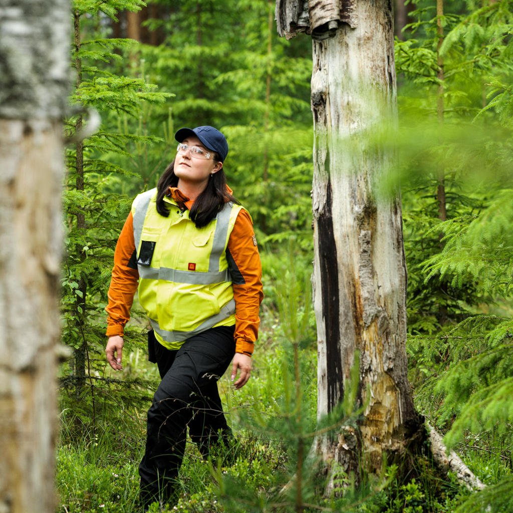 Virtually in your own forest
