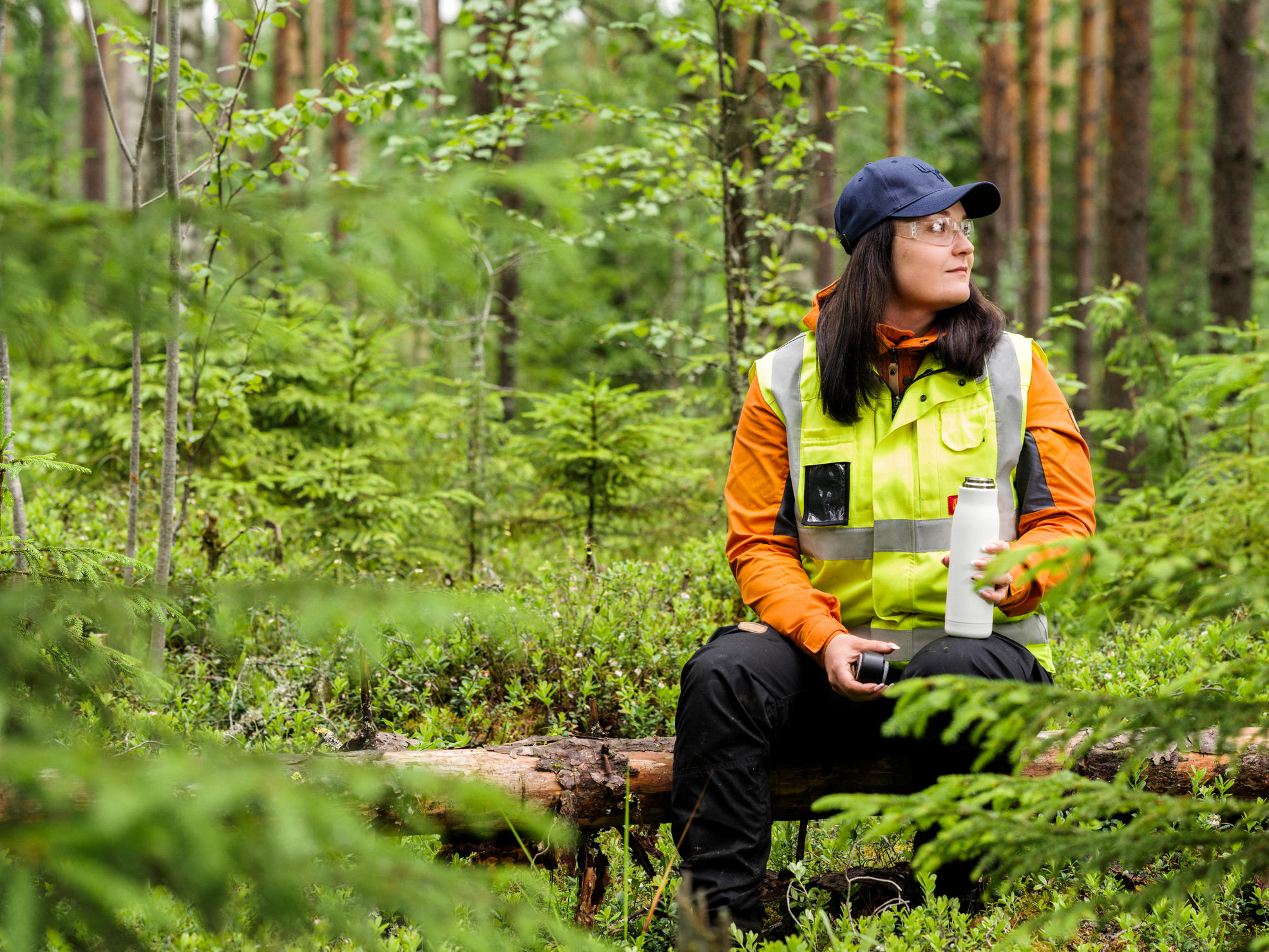 A forest owner and forest specialist sitting in the forest, enjoying coffee and talking.