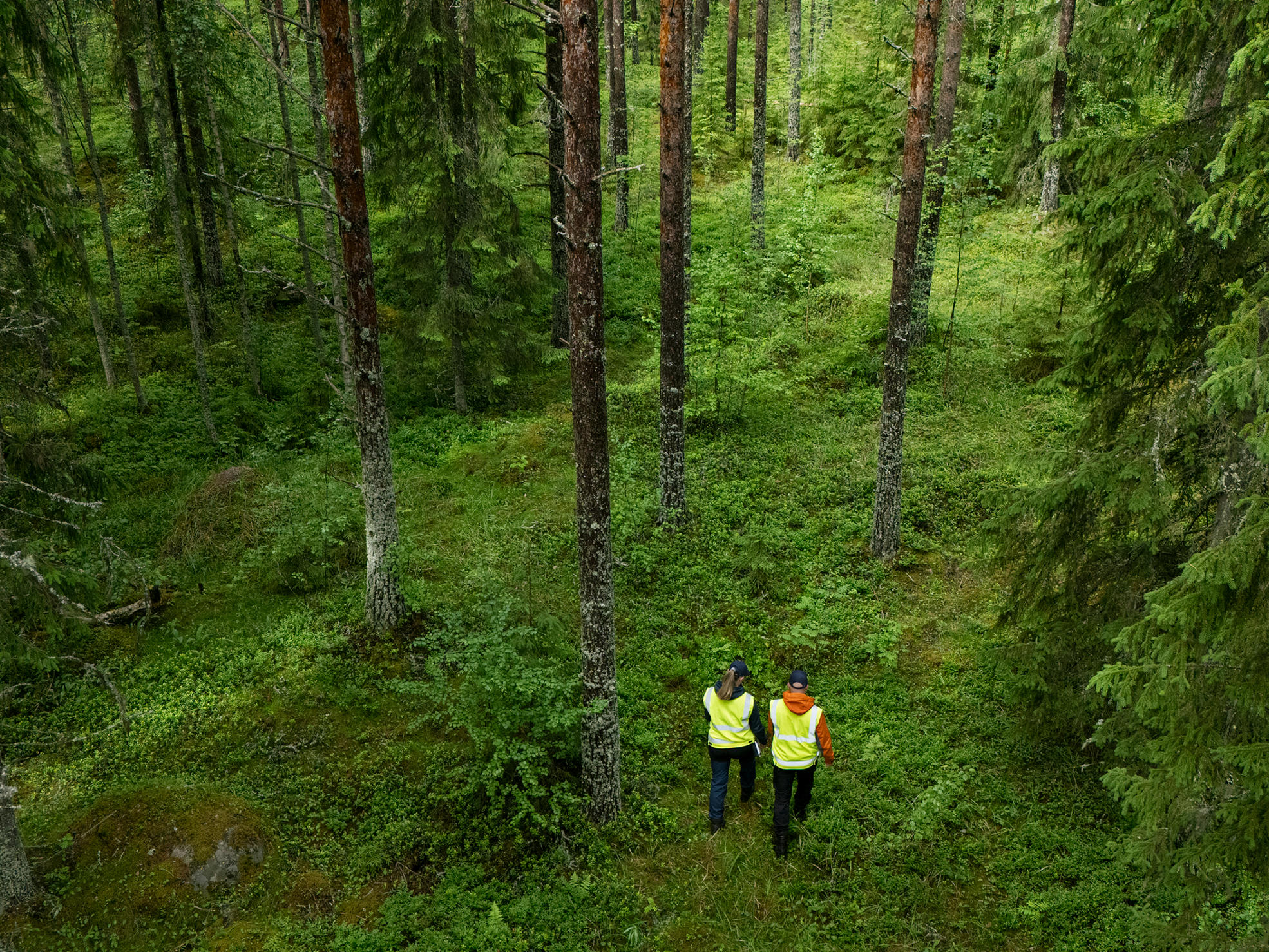Two persons walking in the forest.