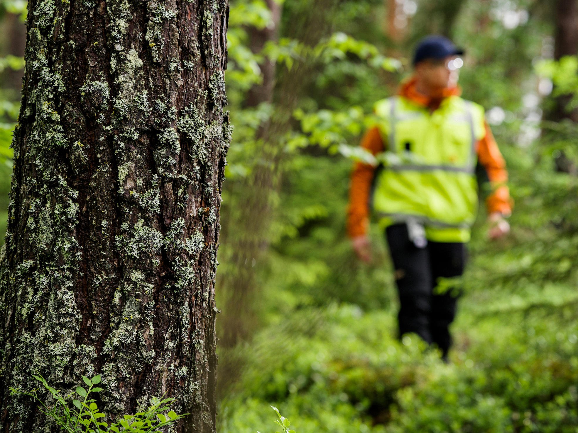 Stamvolympris innebär, att de träd som gallras köps som hela stammar och att det pris som skogsägaren får beror på medelvolymen för de träd som avlägsnas.
