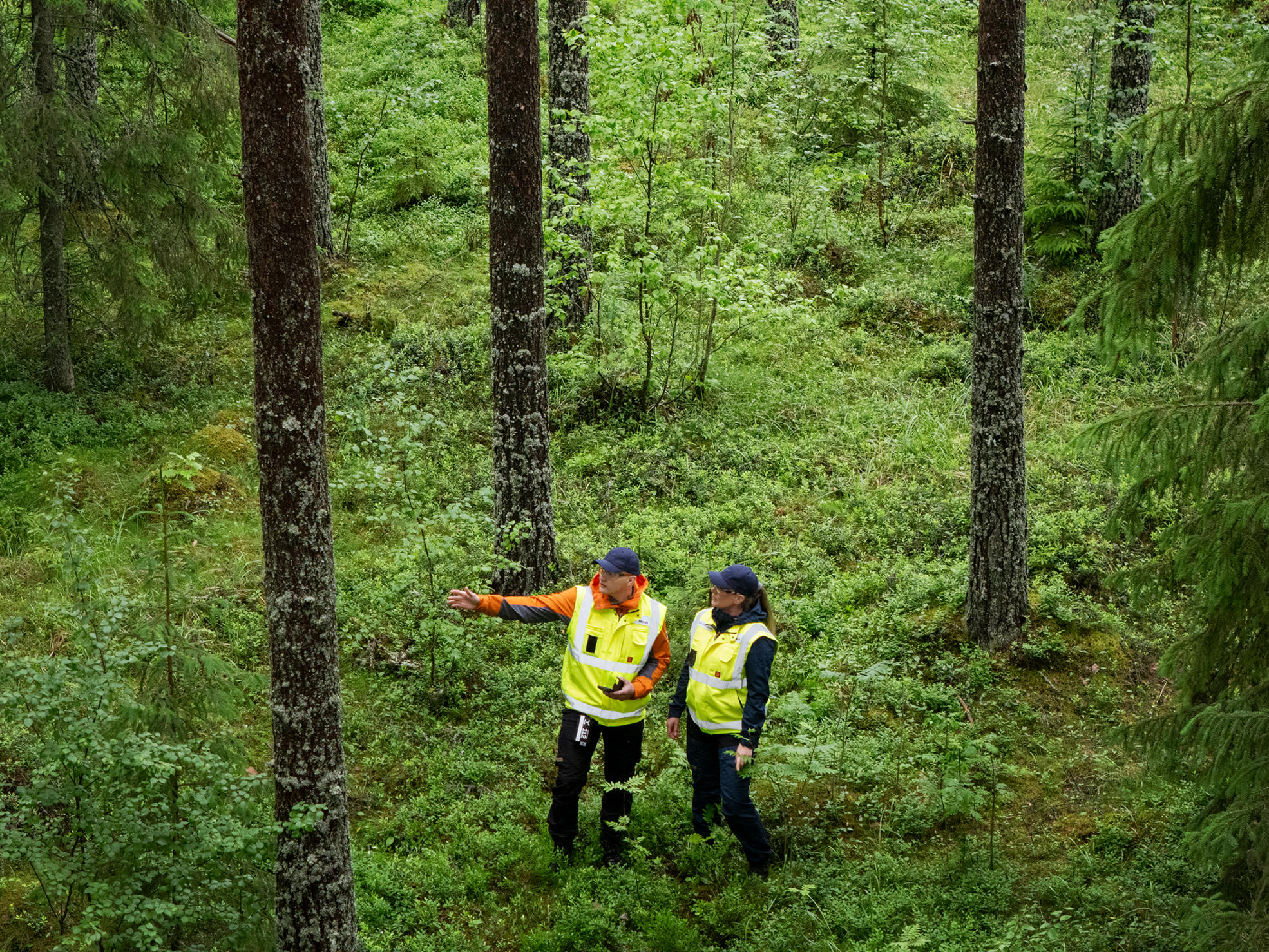 A forest specialist is standing in the forest with a phone in his hand.