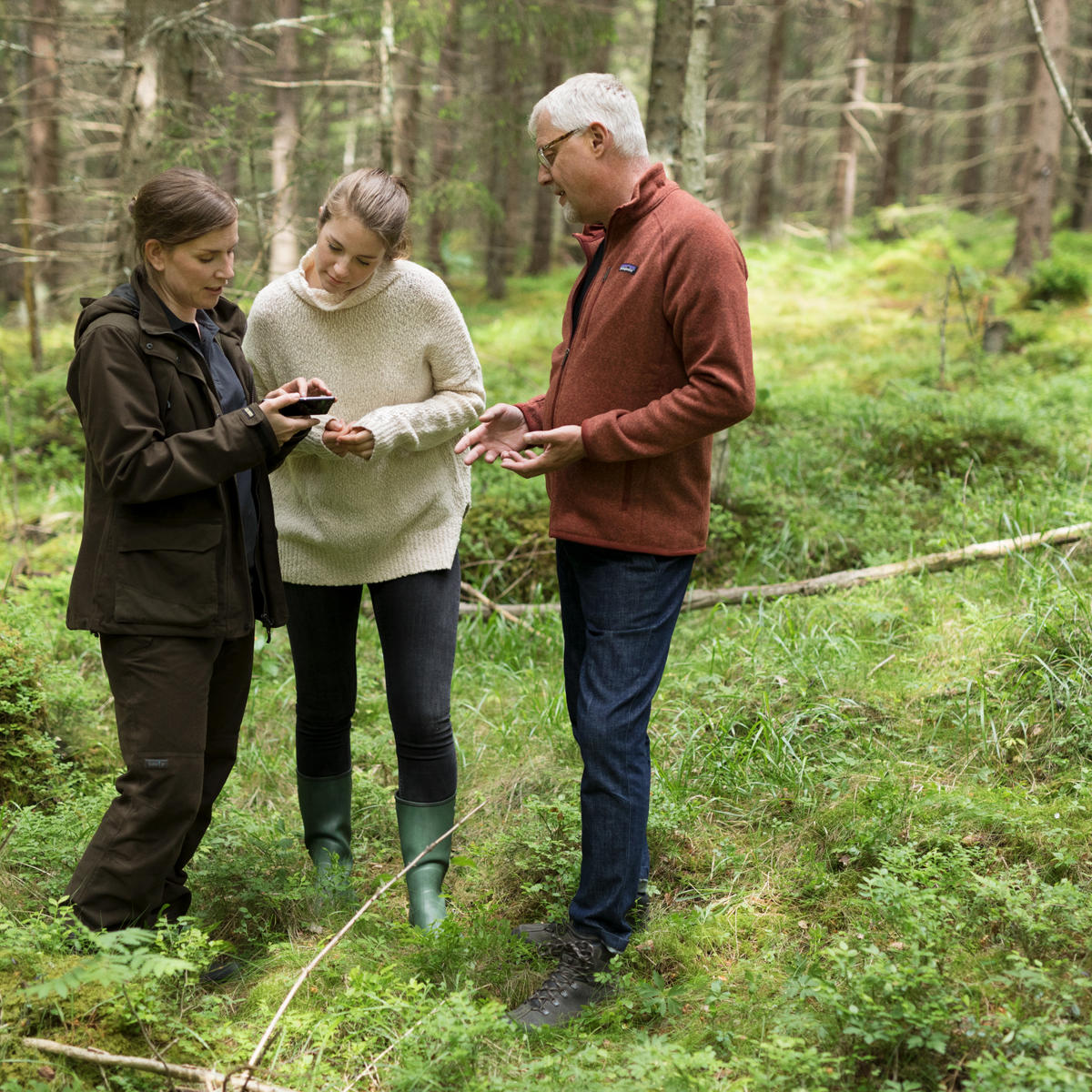 Easier communication for forest estates with several owners