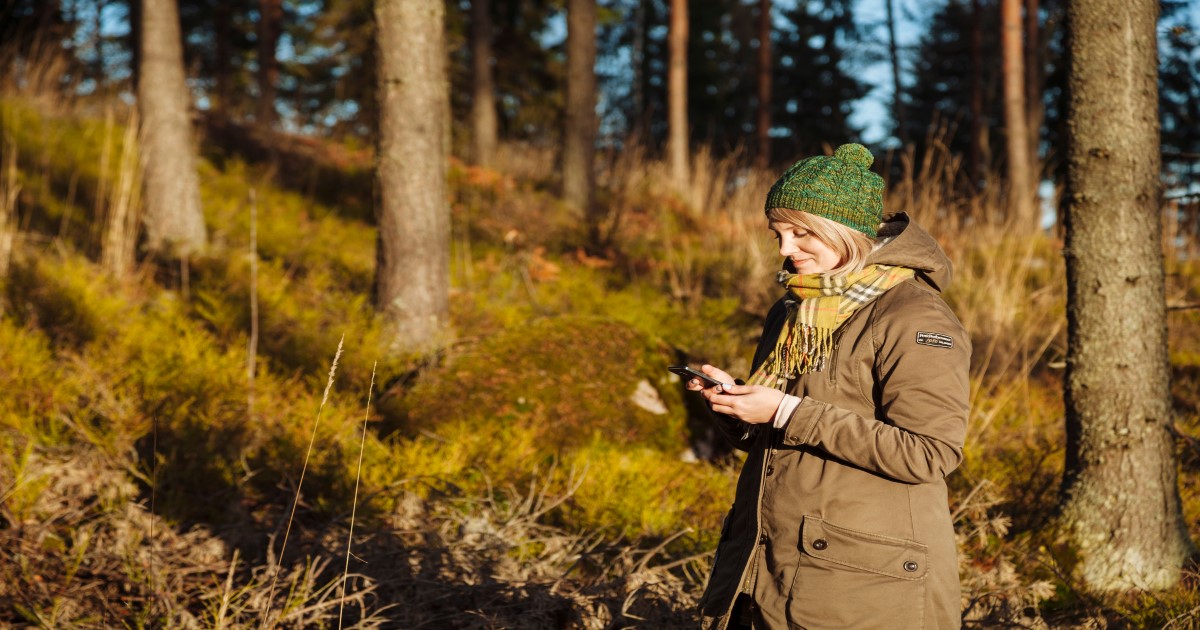 Hoida metsäomaisuuttasi Metsäverkossa