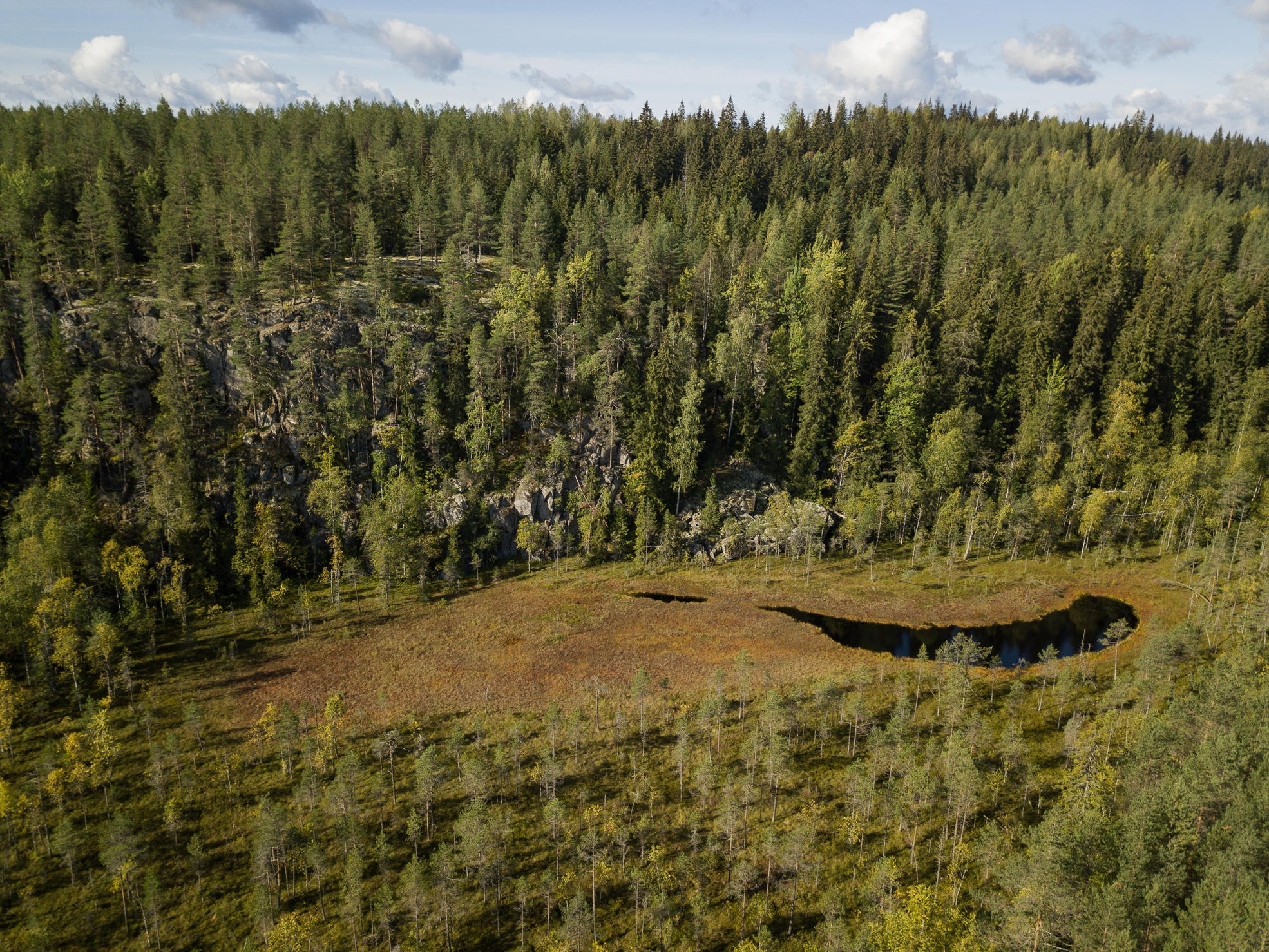 Kuvassa on suo, jonka keskellä on pieni lampi ja takana kohoaa metsäinen kalliojyrkänne.