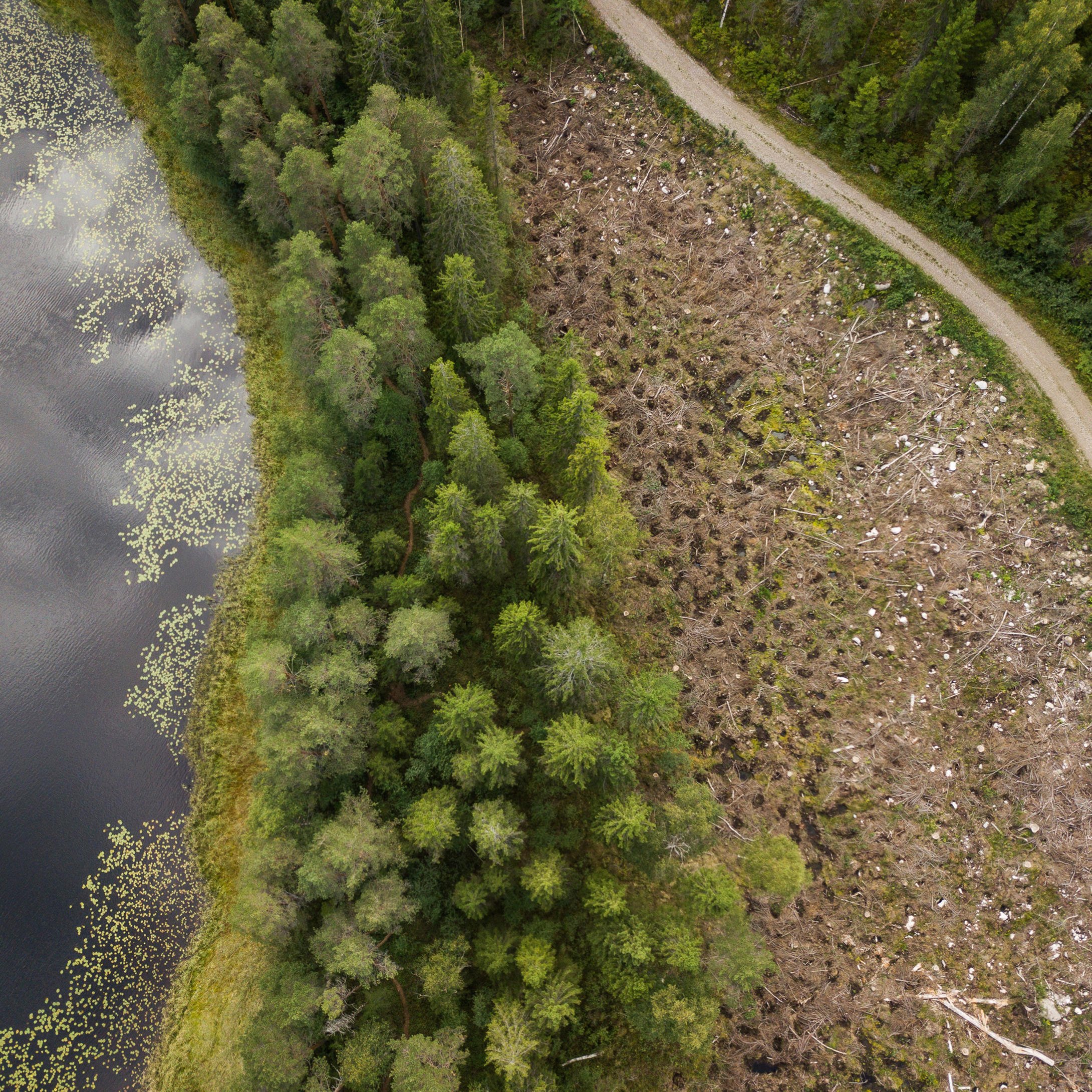 Buffer strips around waterways and bogs