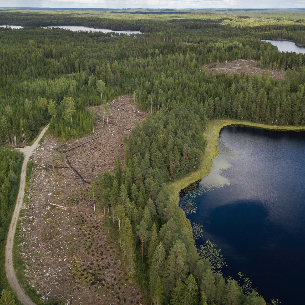 Vuosisuunnitelma ja -laskelmat