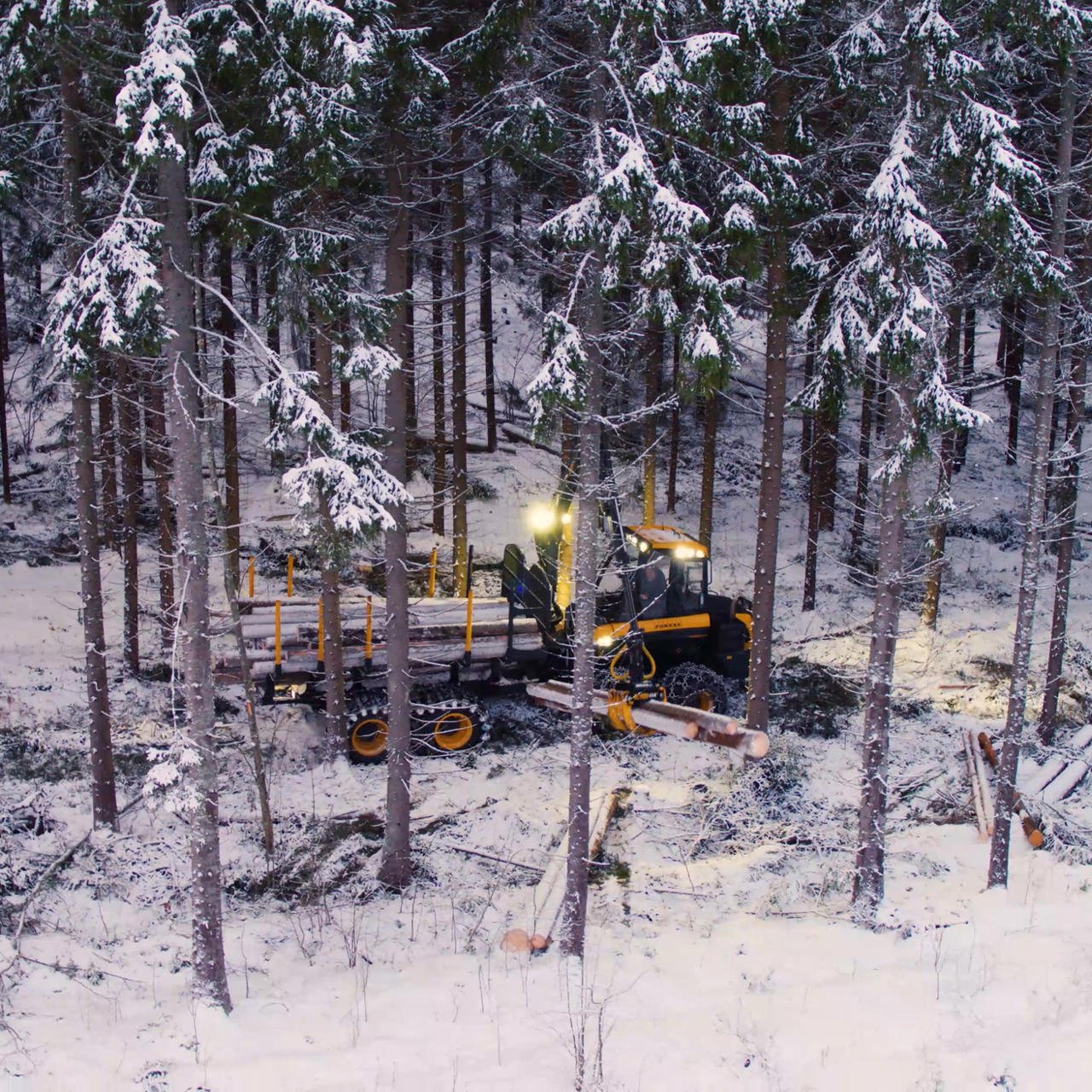 A forwarder transporting trees from the thinning site.