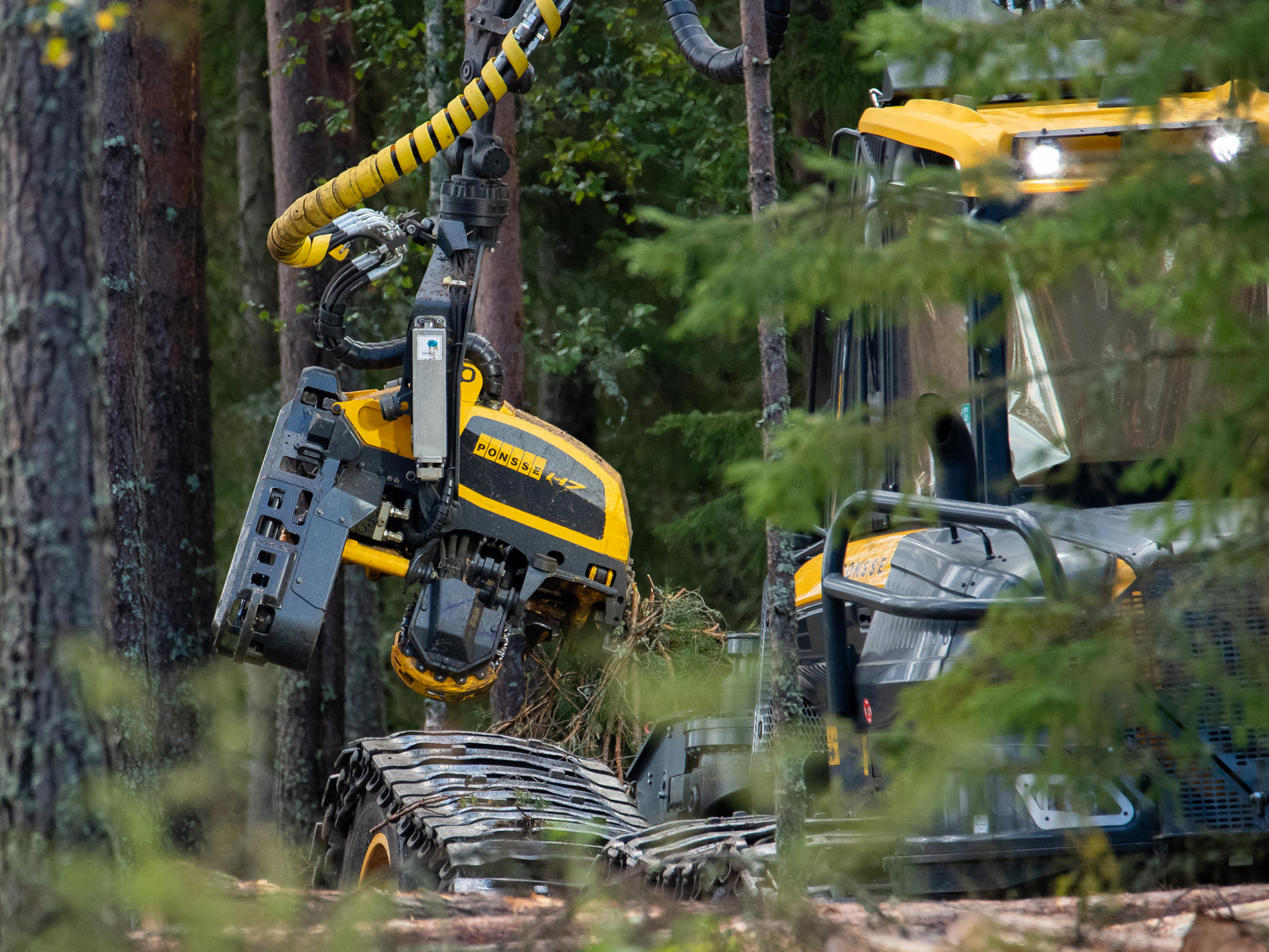 Hakkuukone metsässä. 