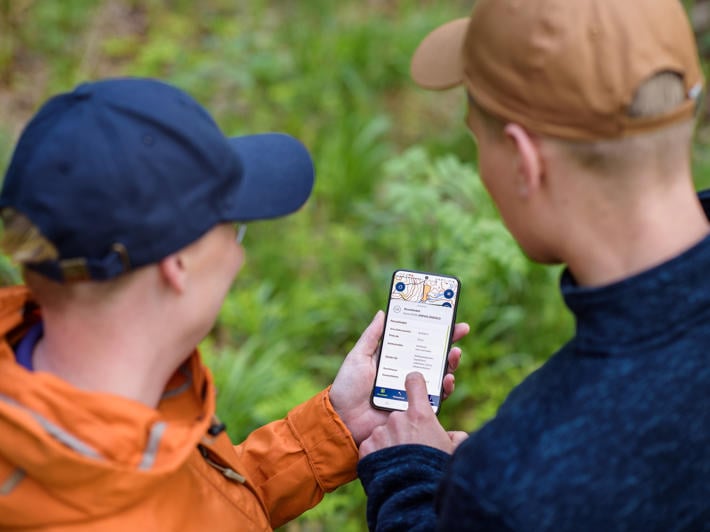 Två personer använder en mobilapp för att identifiera insektsskador i skogen.