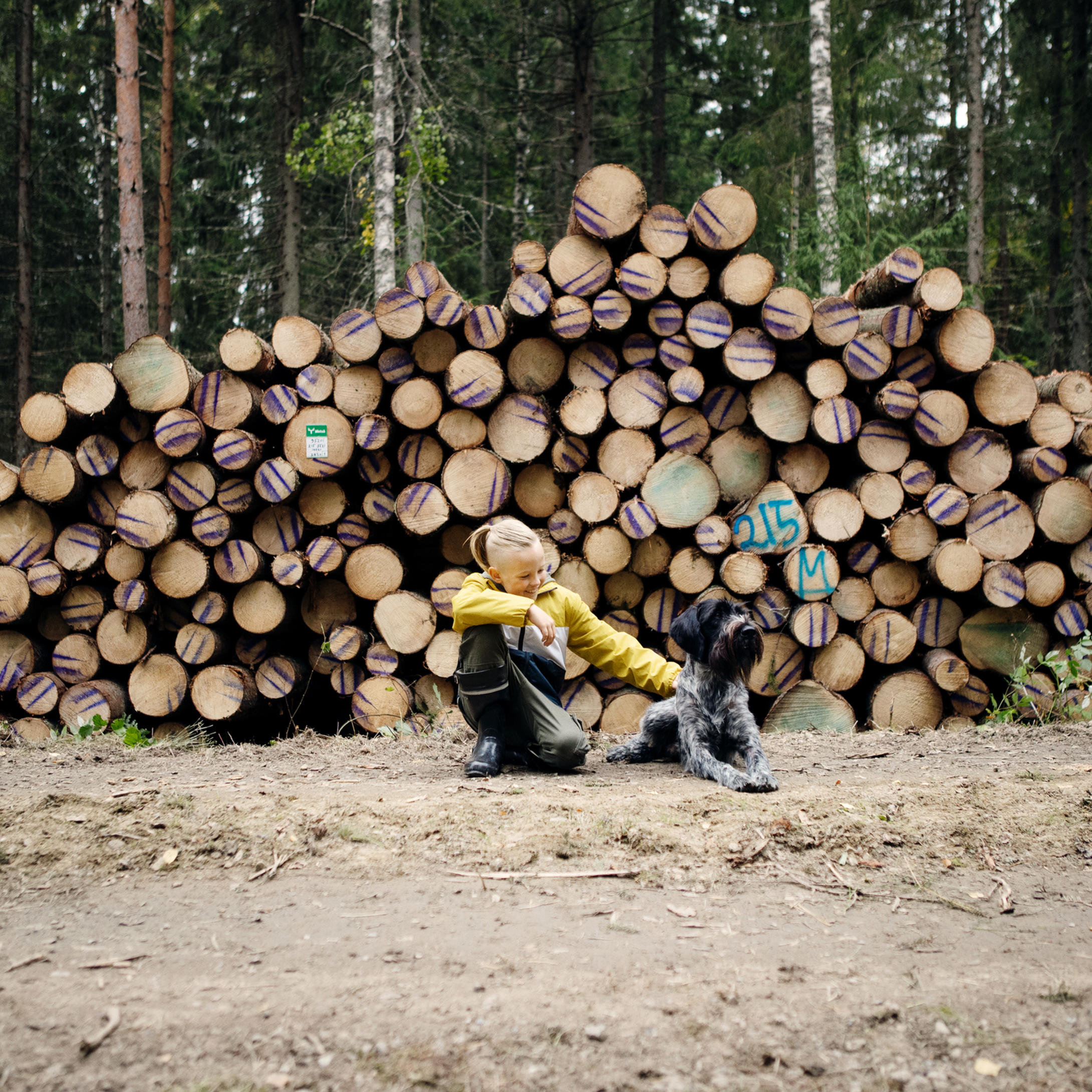 Scenarier i Metsäverkko