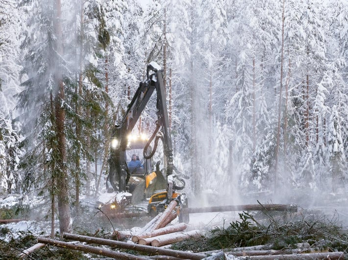 Metsäkone korjaa puuta talvella.