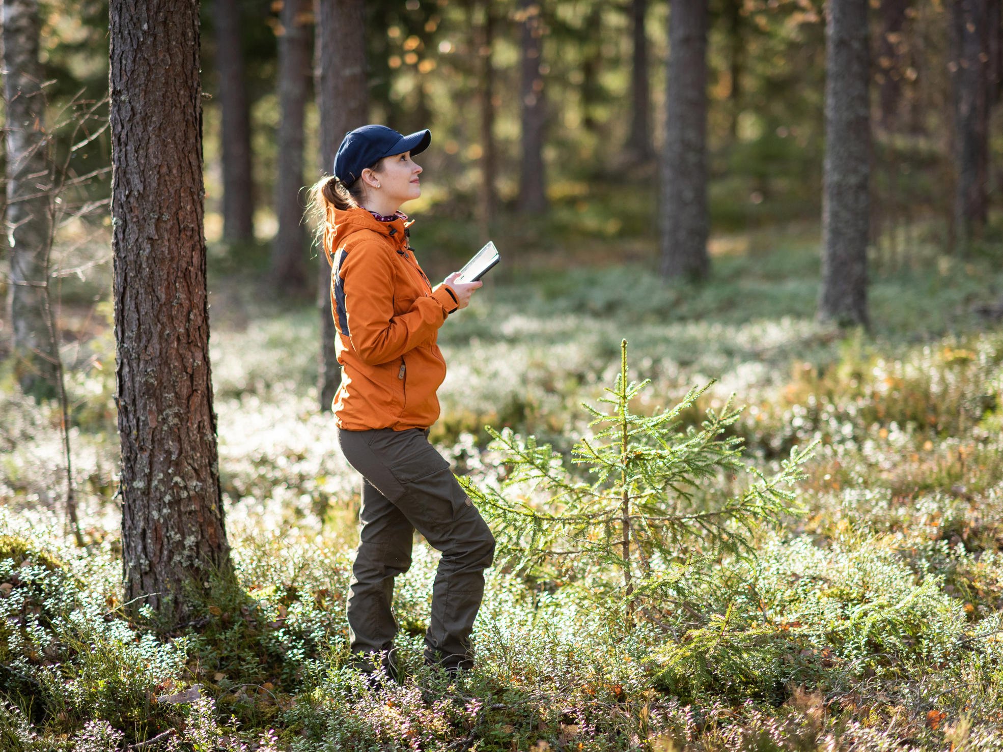 Metsäasiantuntija seisoo metsässä puhelin kädessään.