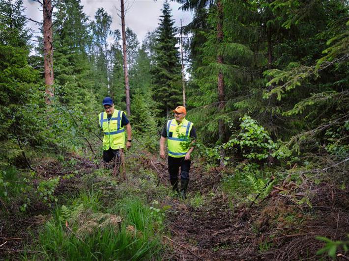 Metsäasiantuntija ja metsänomistaja katsomassa hakkuualuetta